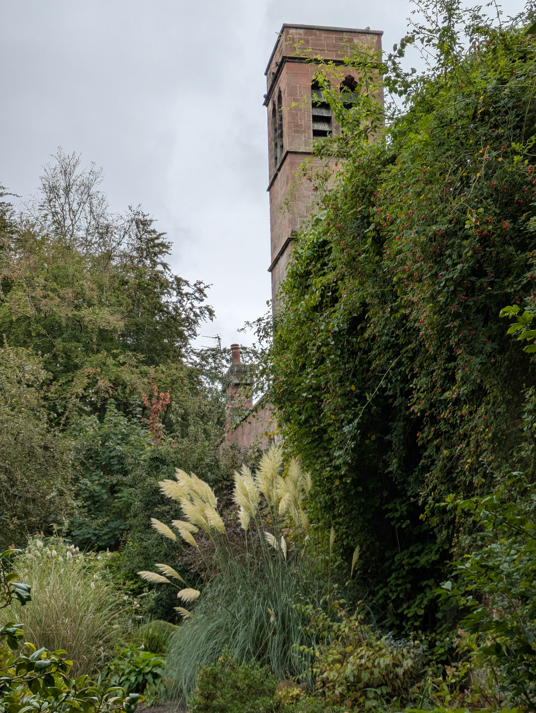 A tall stone tower partially covered by lush green foliage stands amidst dense vegetation and tall ornamental grasses under a cloudy sky.