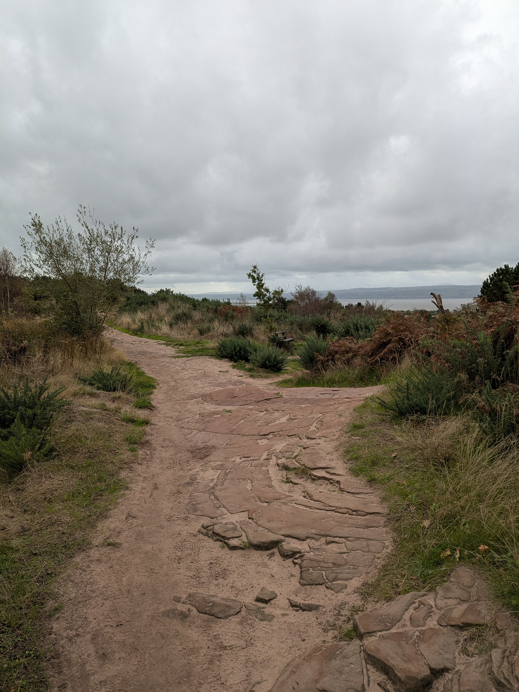 A dirt and stone path winds through a grassy, shrub-filled landscape under a cloudy sky.