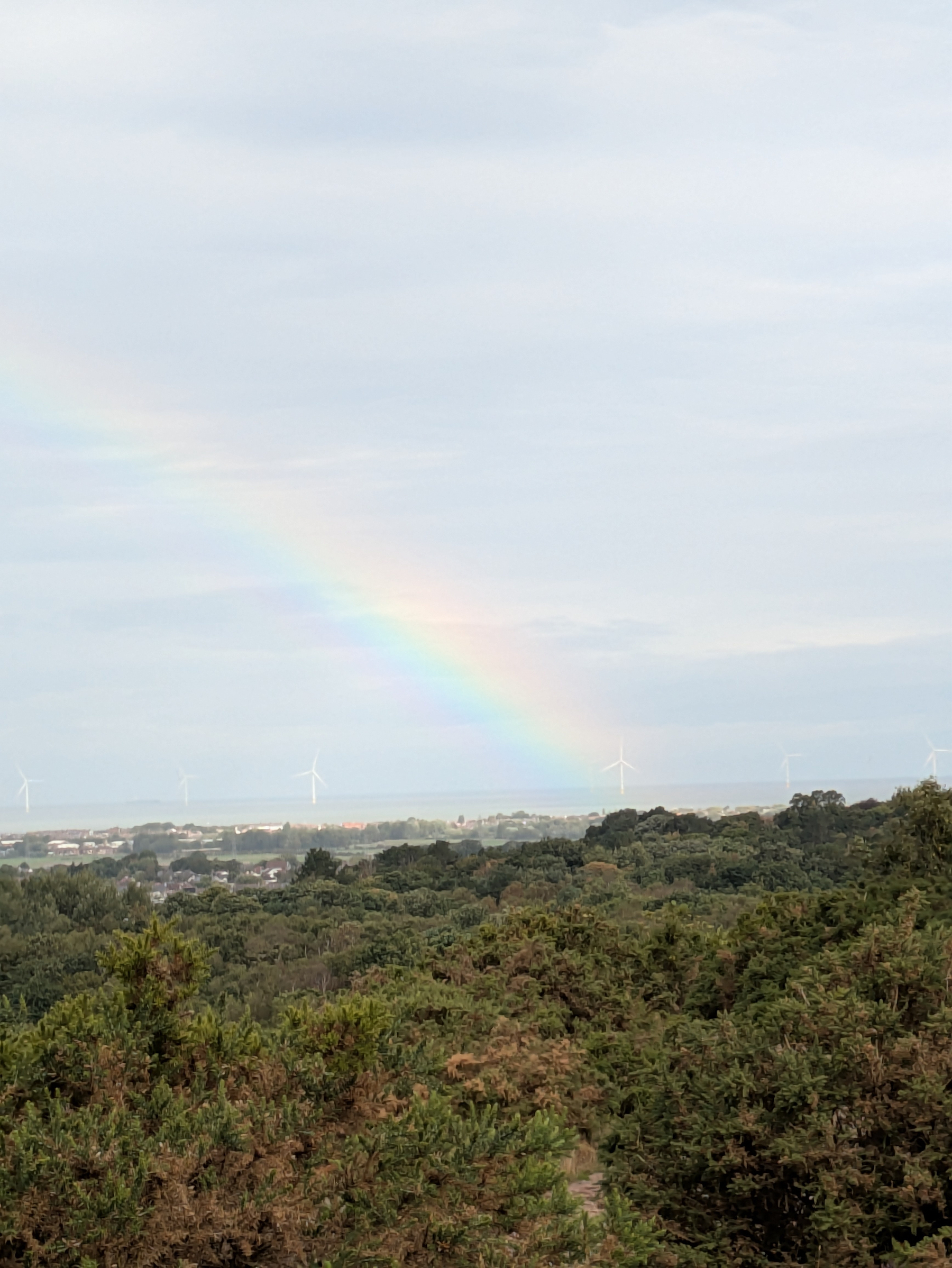 A faint rainbow arches over a landscape of dense green trees with wind turbines visible in the distance under a cloudy sky.