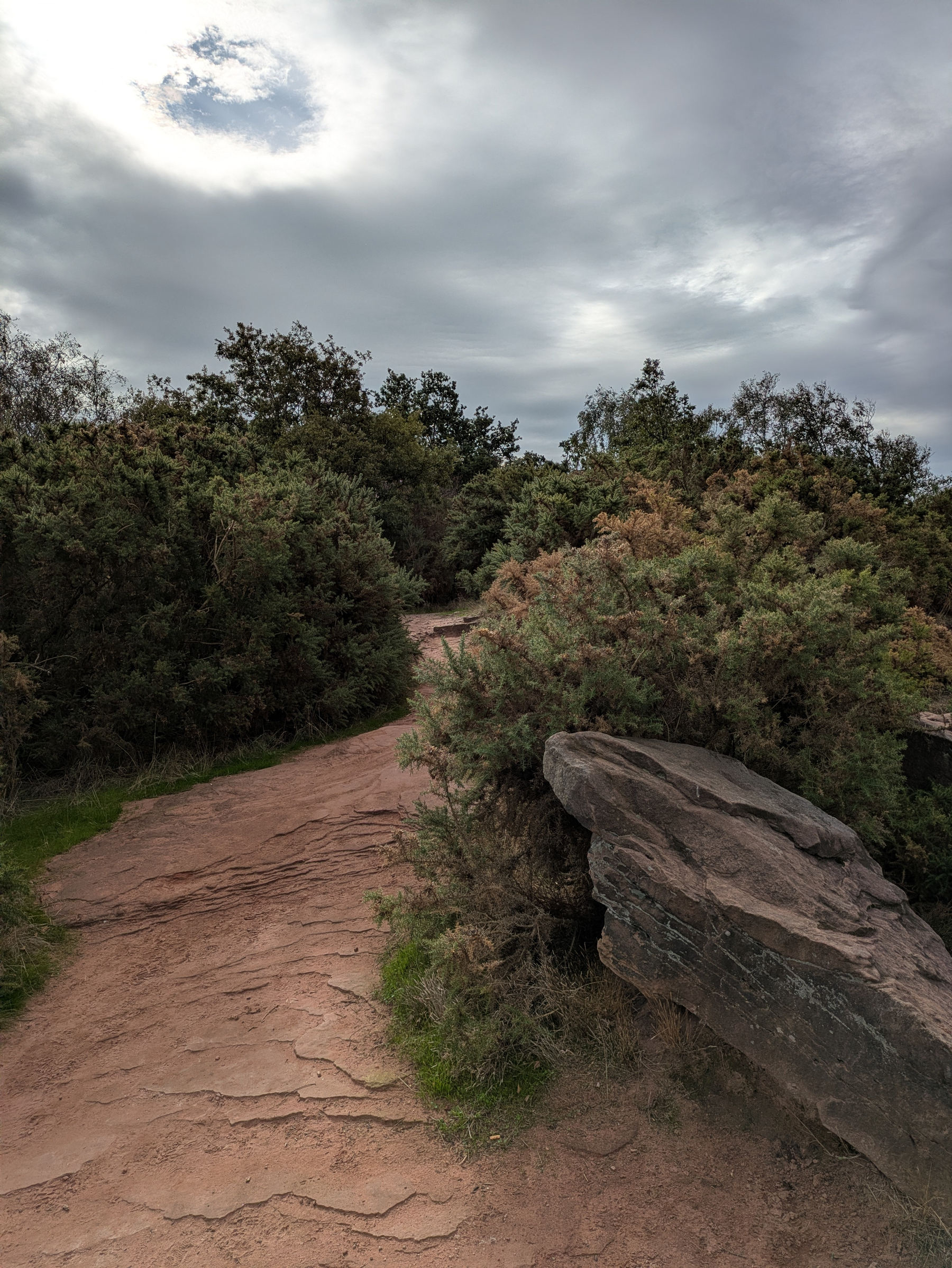 A dirt path winds through dense shrubs and bushes under a cloudy sky.