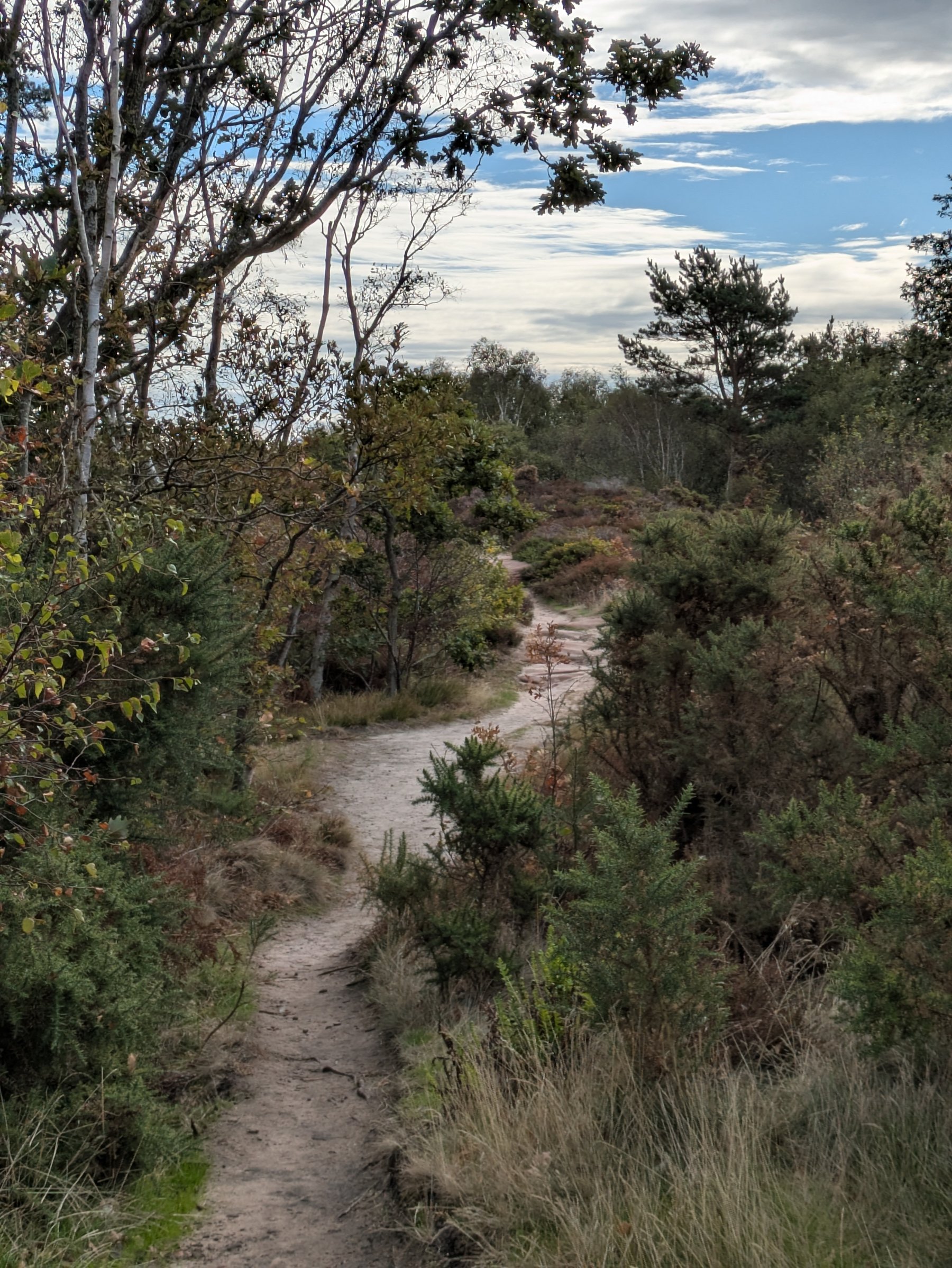 A narrow dirt path winds through dense shrubs and trees under a partly cloudy sky.