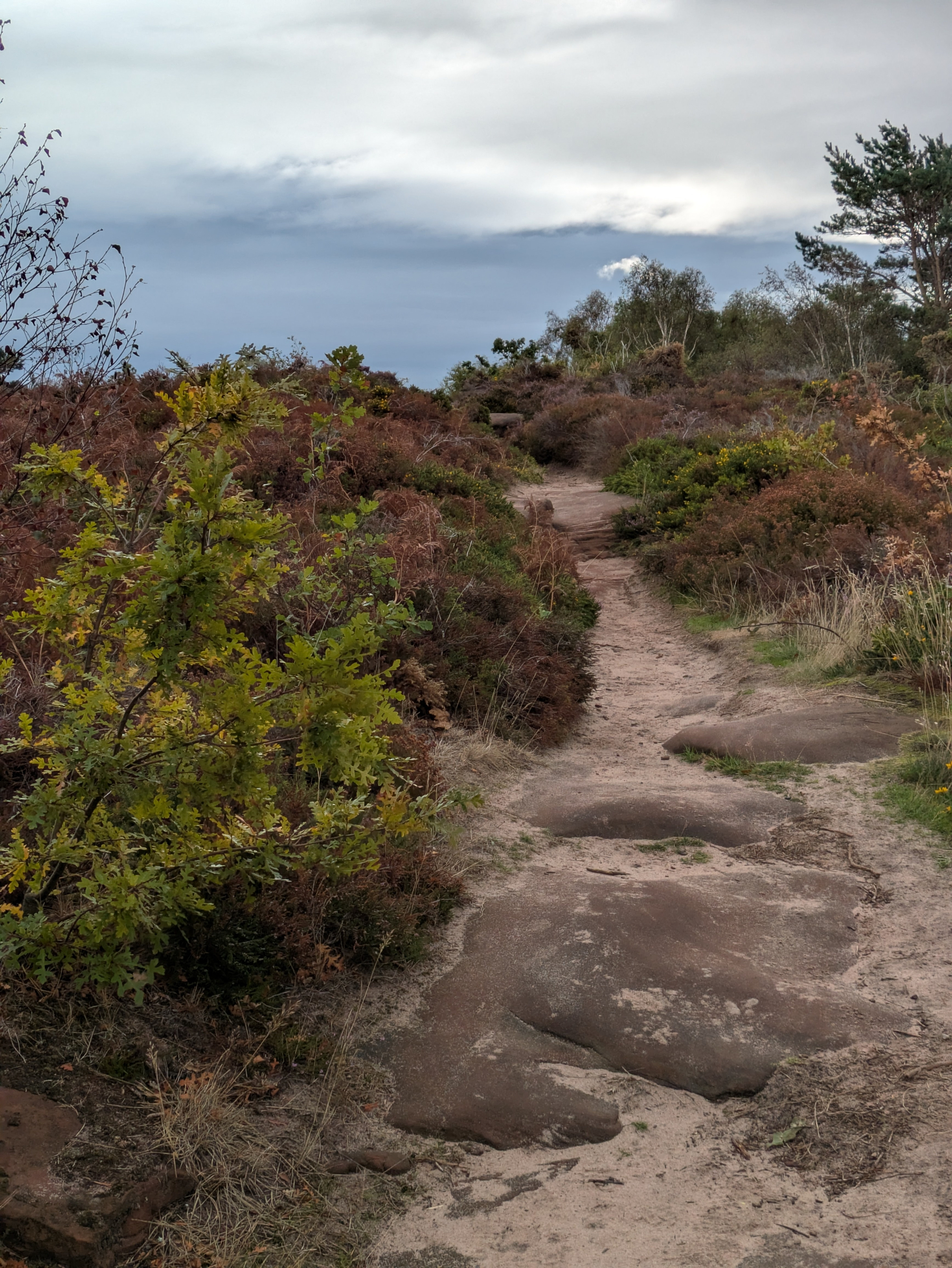 A narrow dirt path winds through a natural landscape of bushes and trees under a cloudy sky.