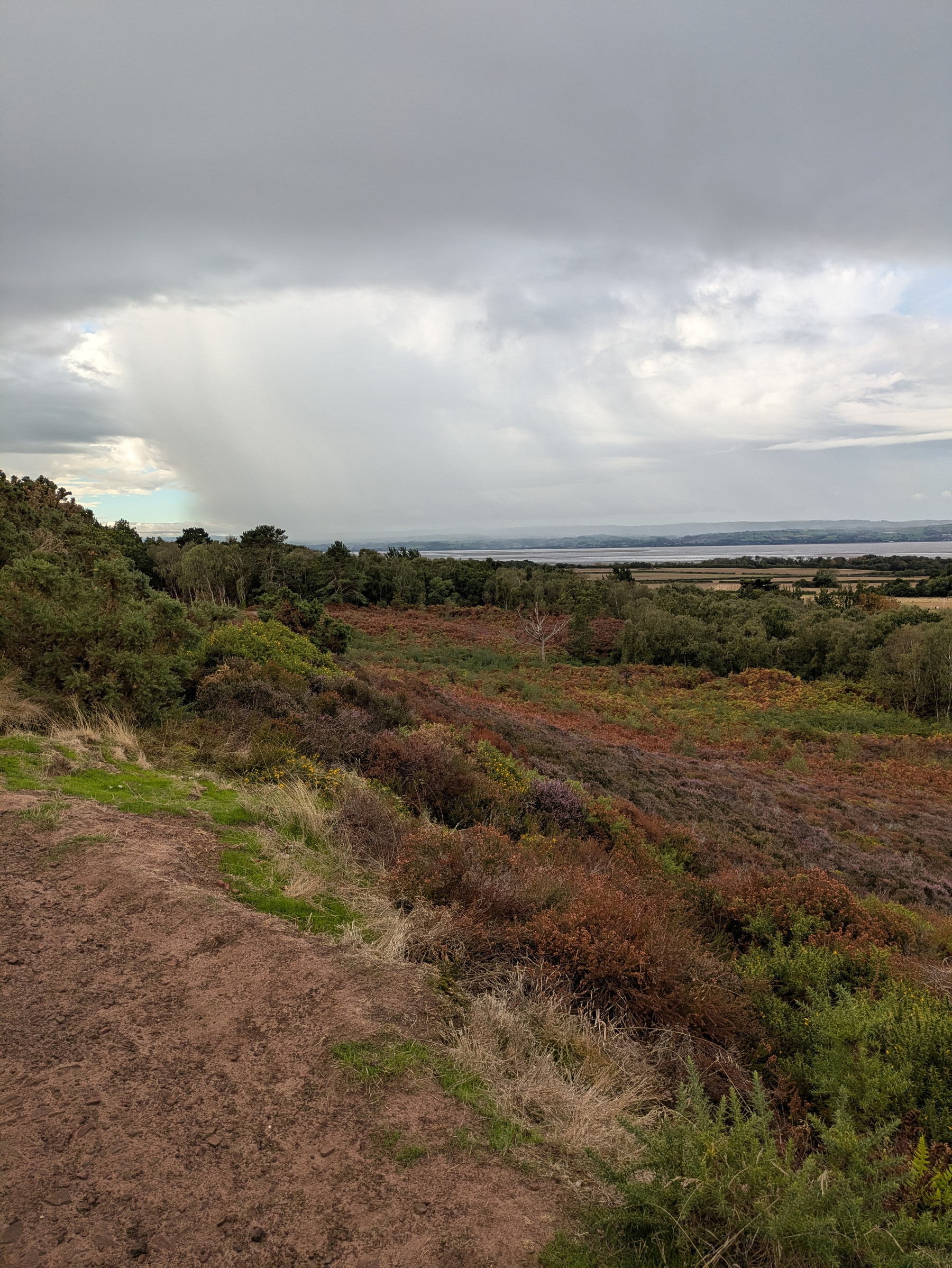 A cloudy sky looms over a landscape of mixed greenery, shrubs, and a distant body of water beyond rolling hills.
