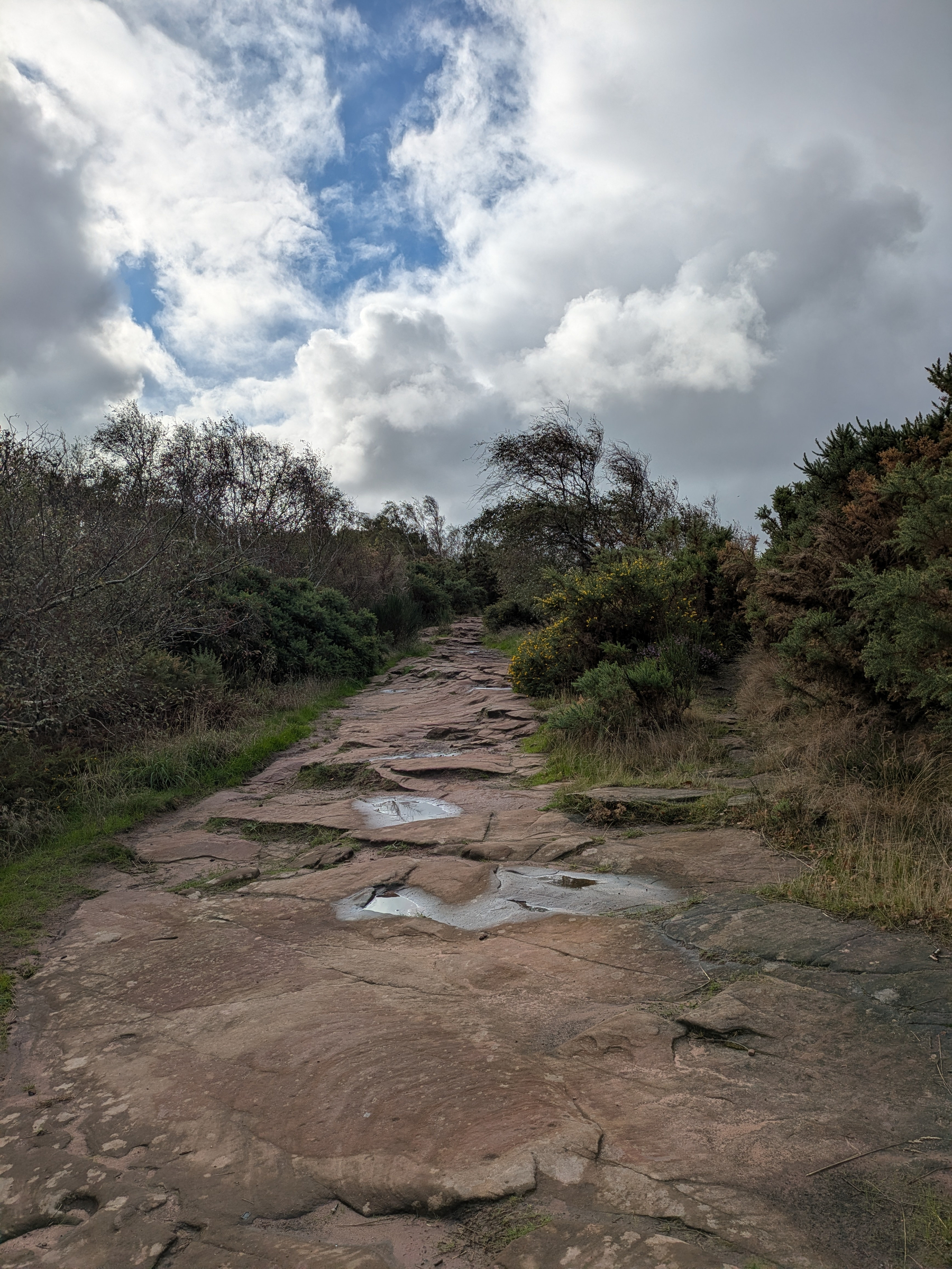 A rocky path with puddles winds through dense shrubs and trees under a partly cloudy sky.