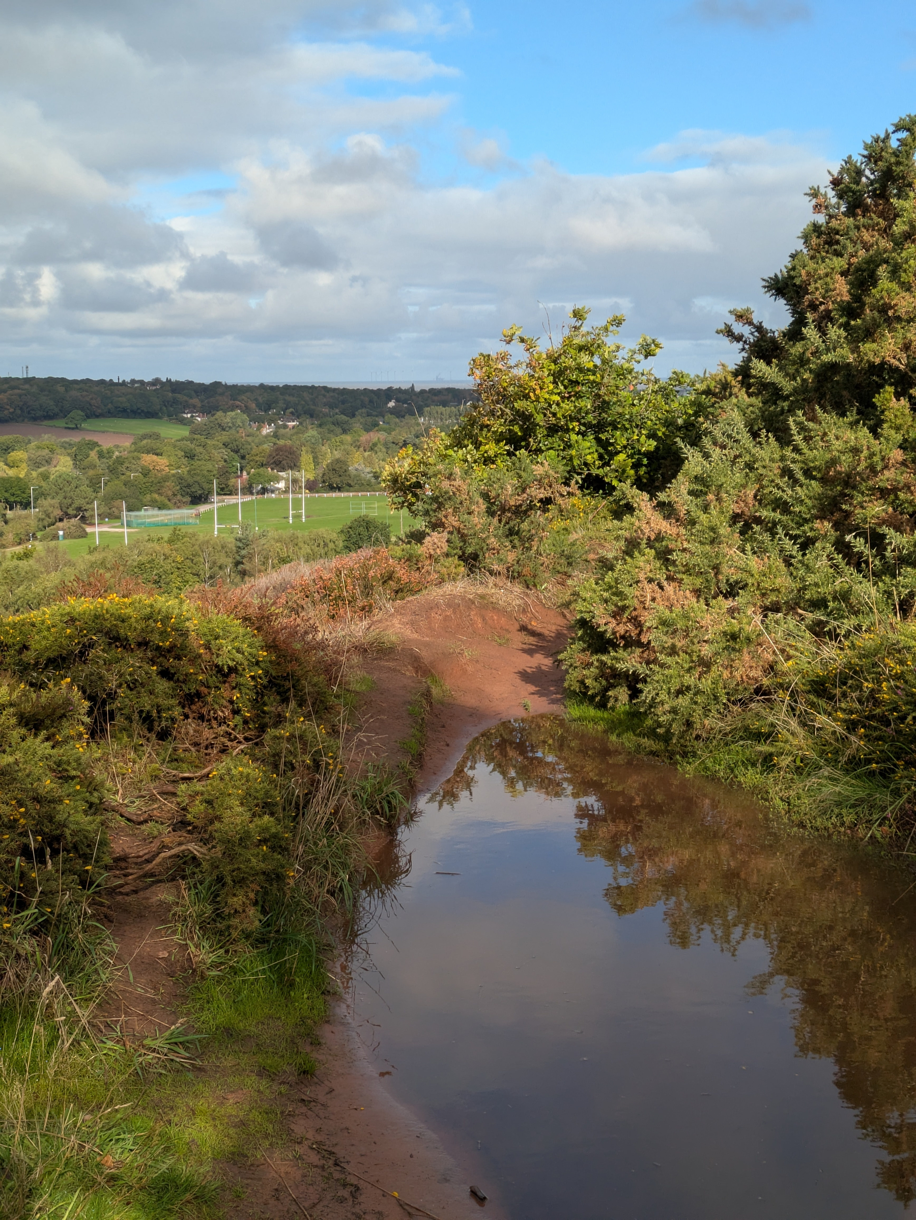 A rural dirt path partially flooded with water is surrounded by dense bushes and overlooks a green landscape under a partly cloudy sky.
