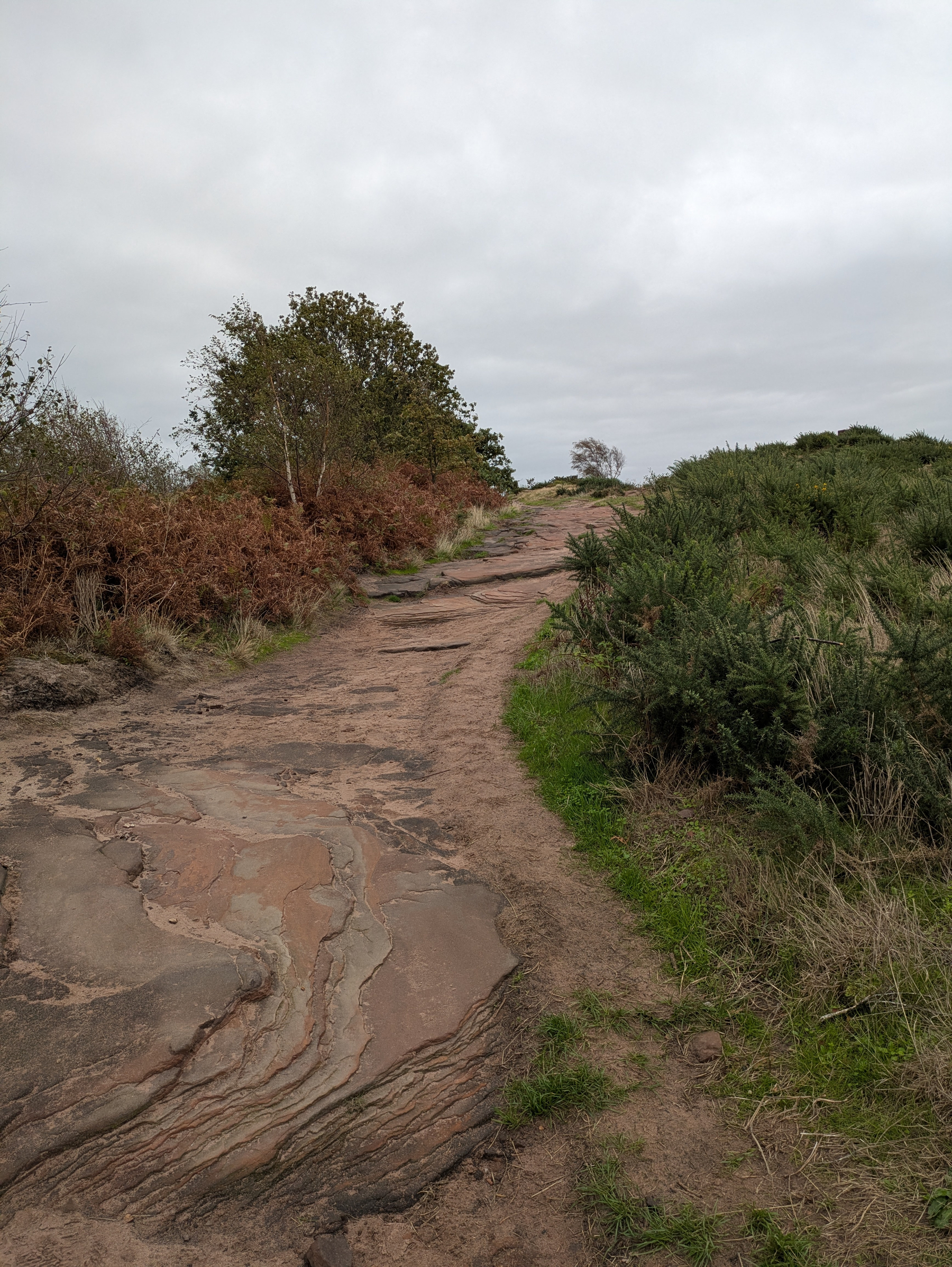 A rocky and slightly uneven dirt path winds uphill through patches of grass, shrubs, and trees under a cloudy sky.