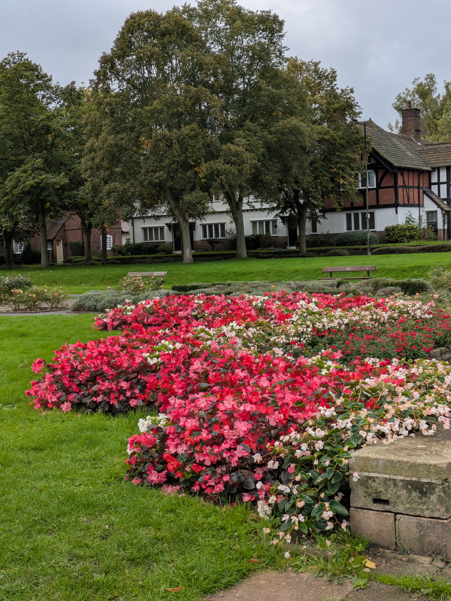 A vibrant flower bed filled with pink and white blossoms is set in a lush green park with benches and trees, alongside charming traditional houses.