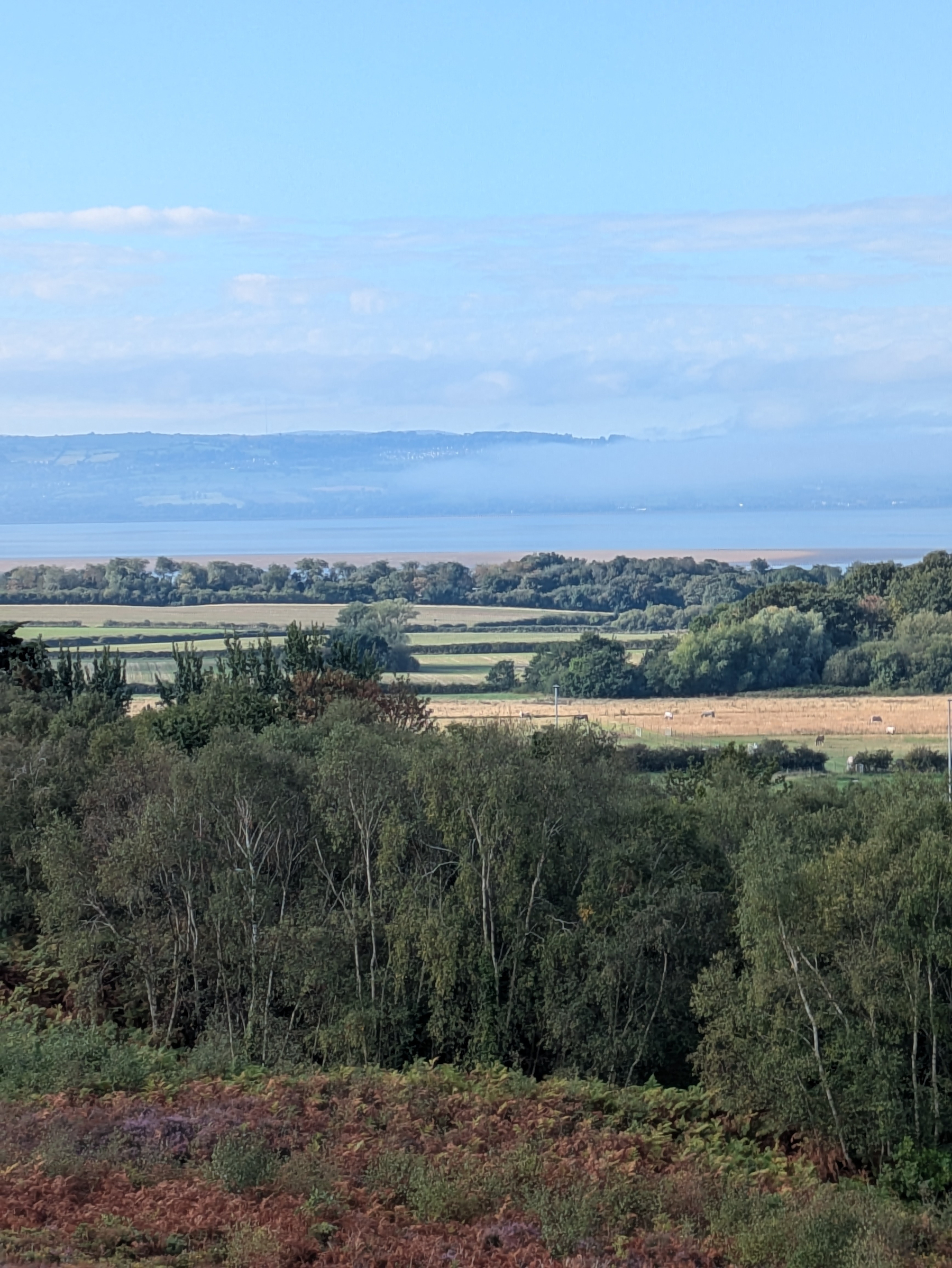 A scenic landscape featuring lush green trees in the foreground, cultivated fields in the middle ground, and a misty hill overlooking an estuary with a clear blue sky in the background. 