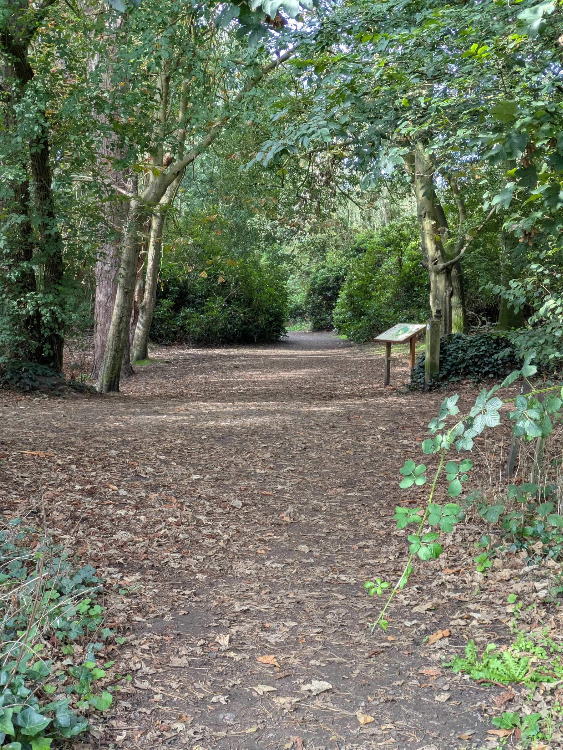 A dirt path winds through a wooded area with trees and bushes on either side and a small informational sign on the right.
