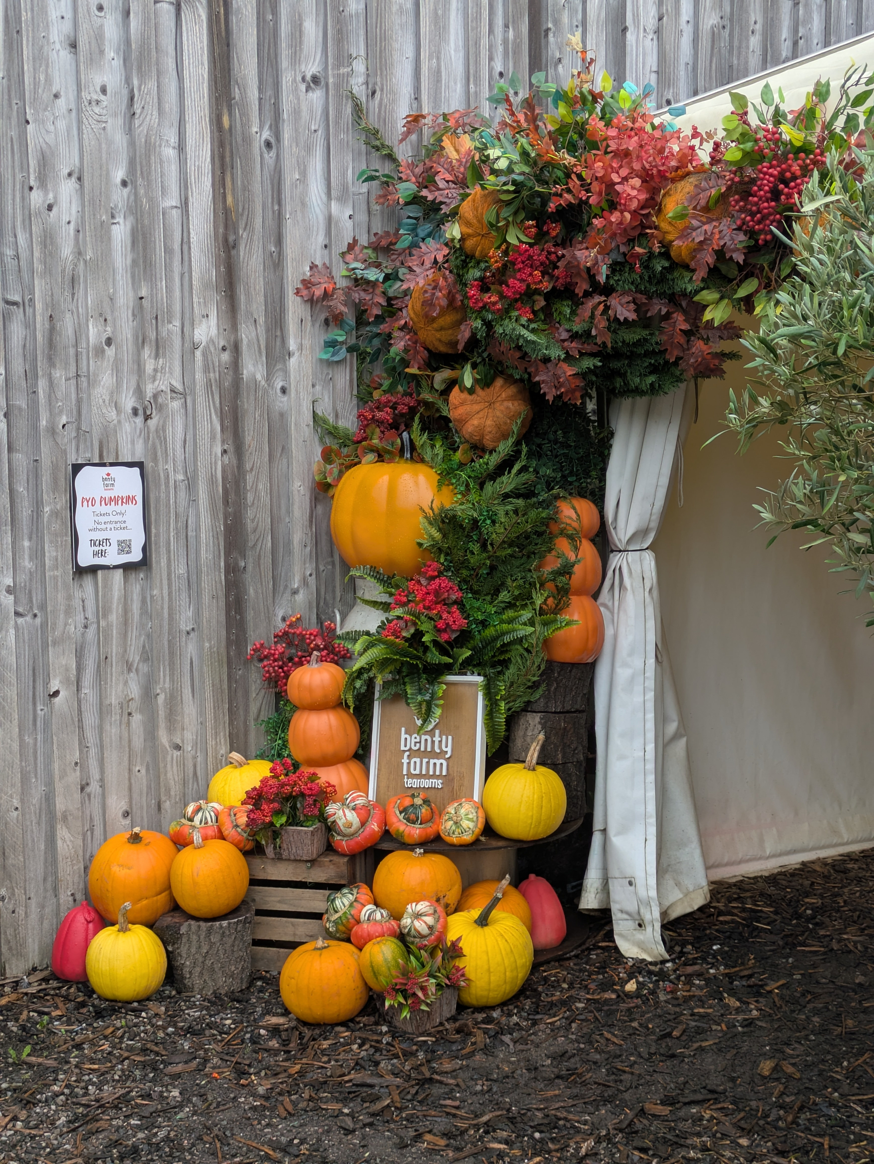 A festive arrangement of pumpkins, gourds, and autumn foliage decorates the entrance to a tent at Benty Farm, inviting visitors to a pyo pumpkin patch.