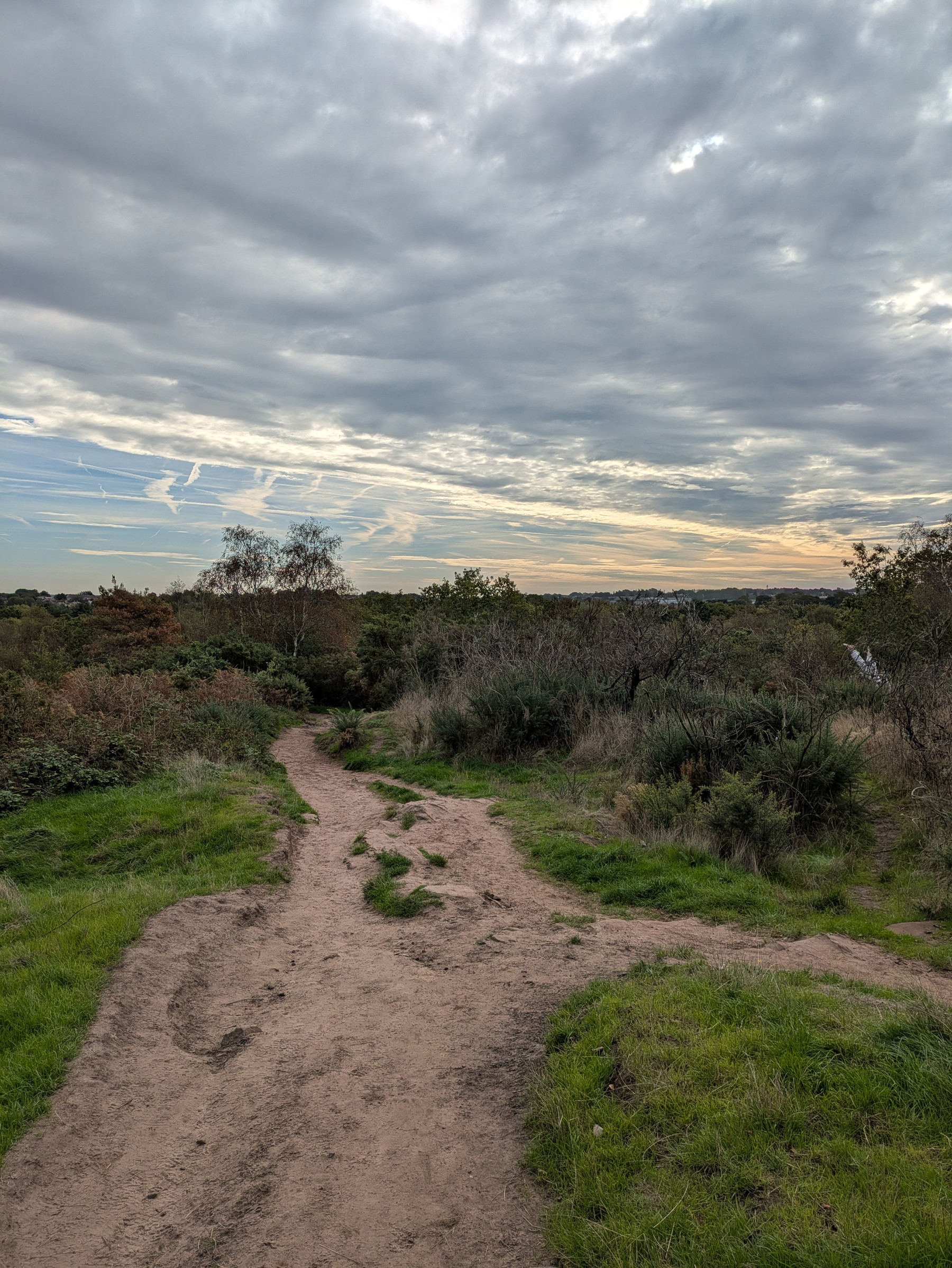 A dirt path winds through a grassy and shrub-filled landscape under a cloudy sky.