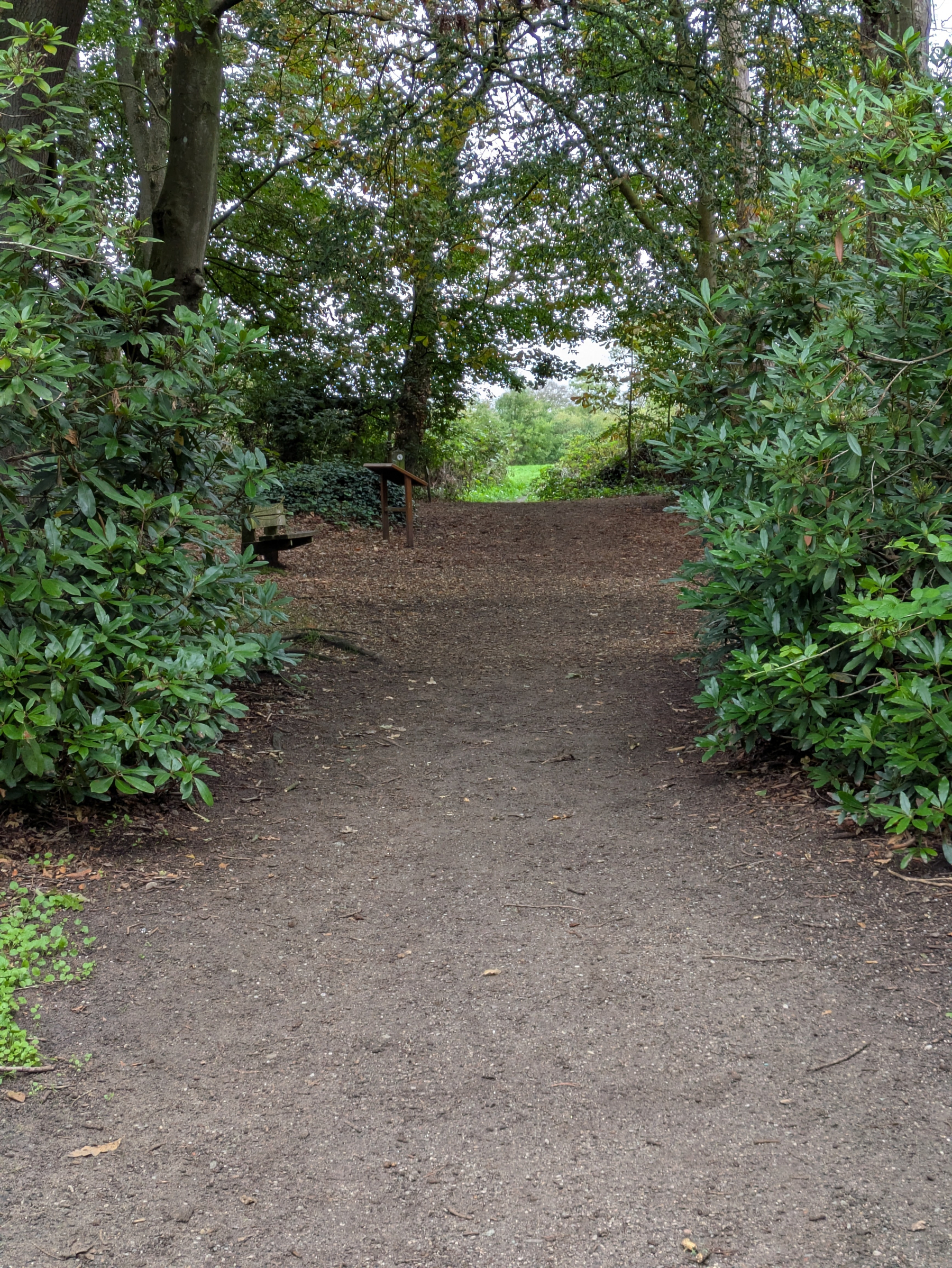 A dirt pathway surrounded by green bushes and trees leads to a shaded area with a wooden signpost and bench.