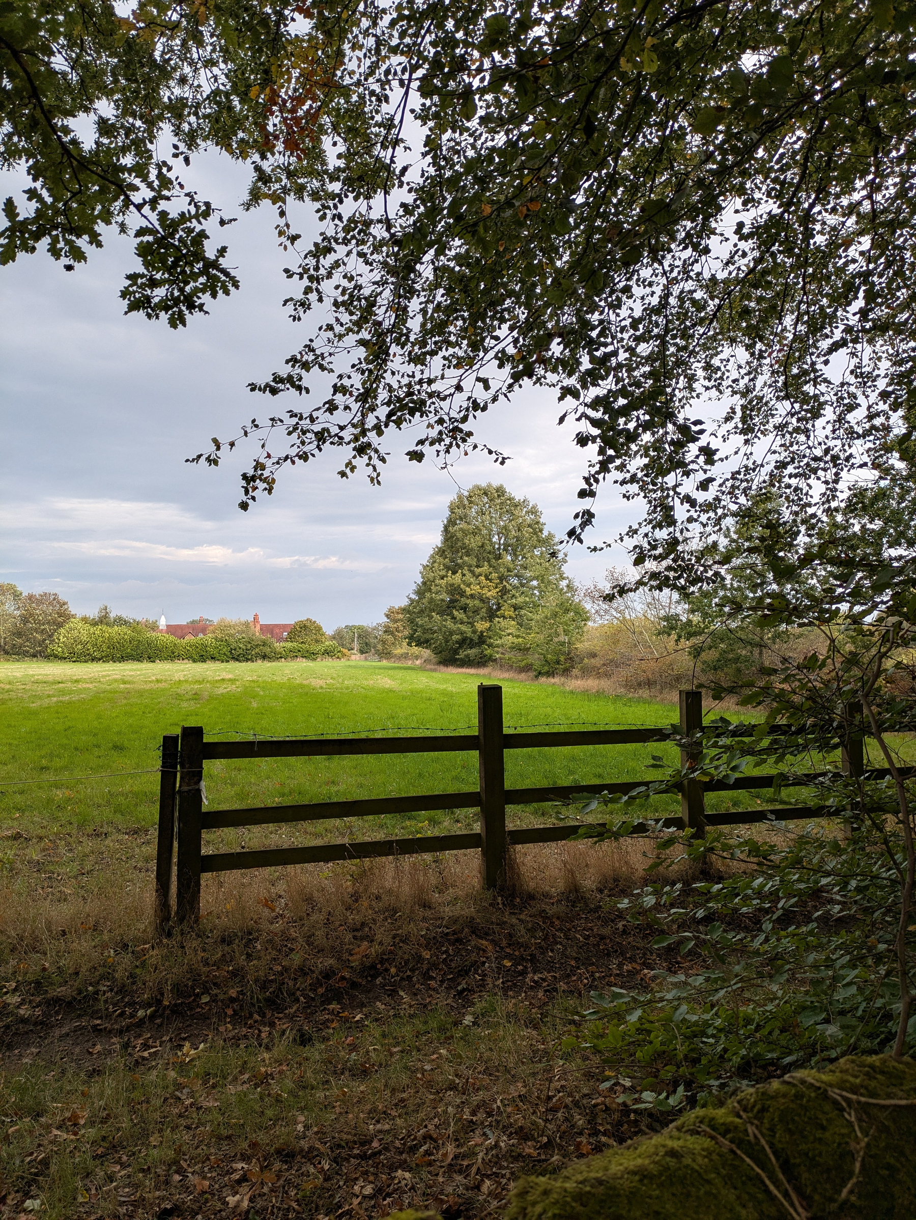 A wooden fence stands at the edge of a green field bordered by trees under a cloudy sky.