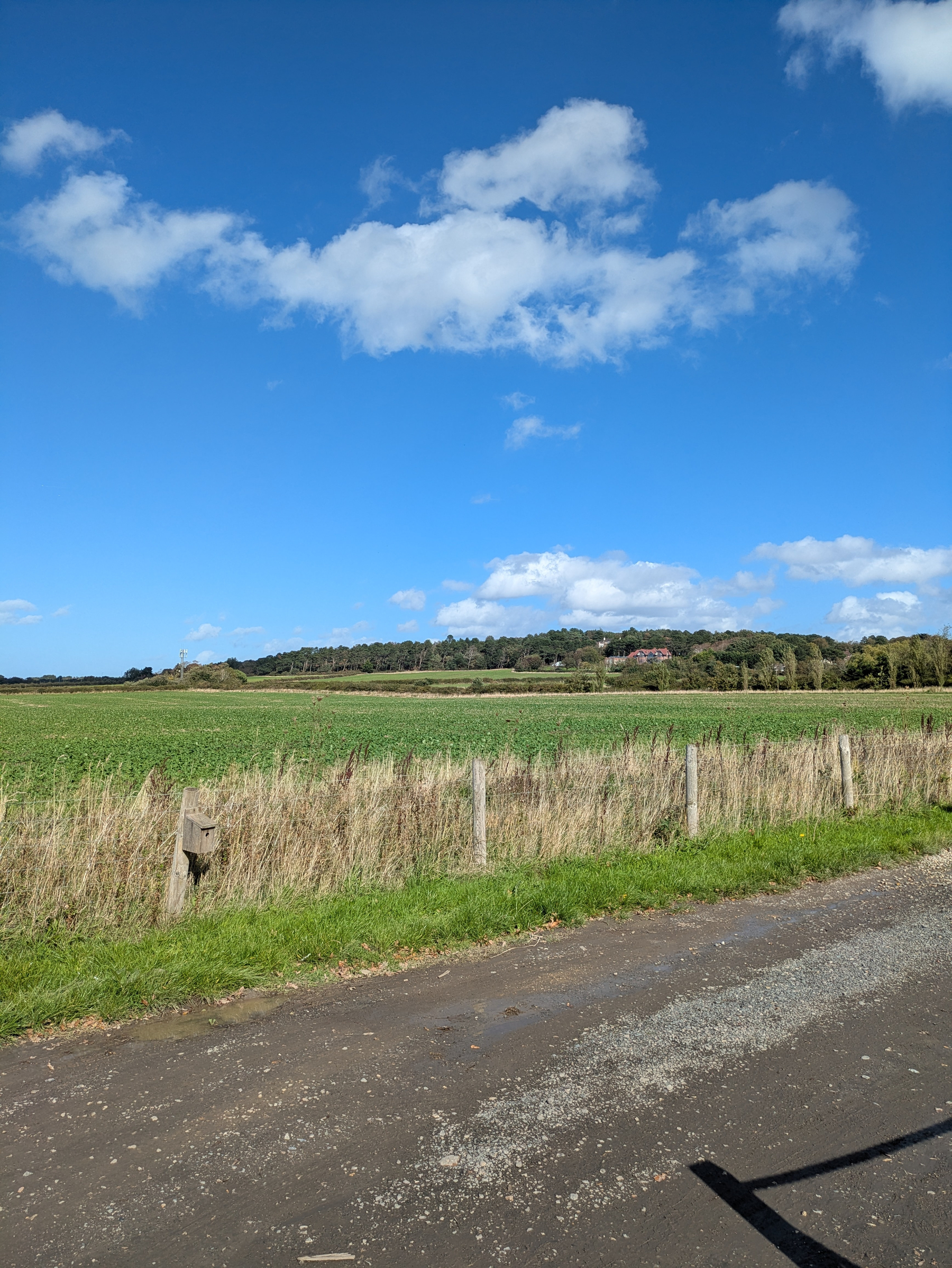 A rural scene with a gravel road in the foreground, a fenced green field, and a partly cloudy blue sky above.