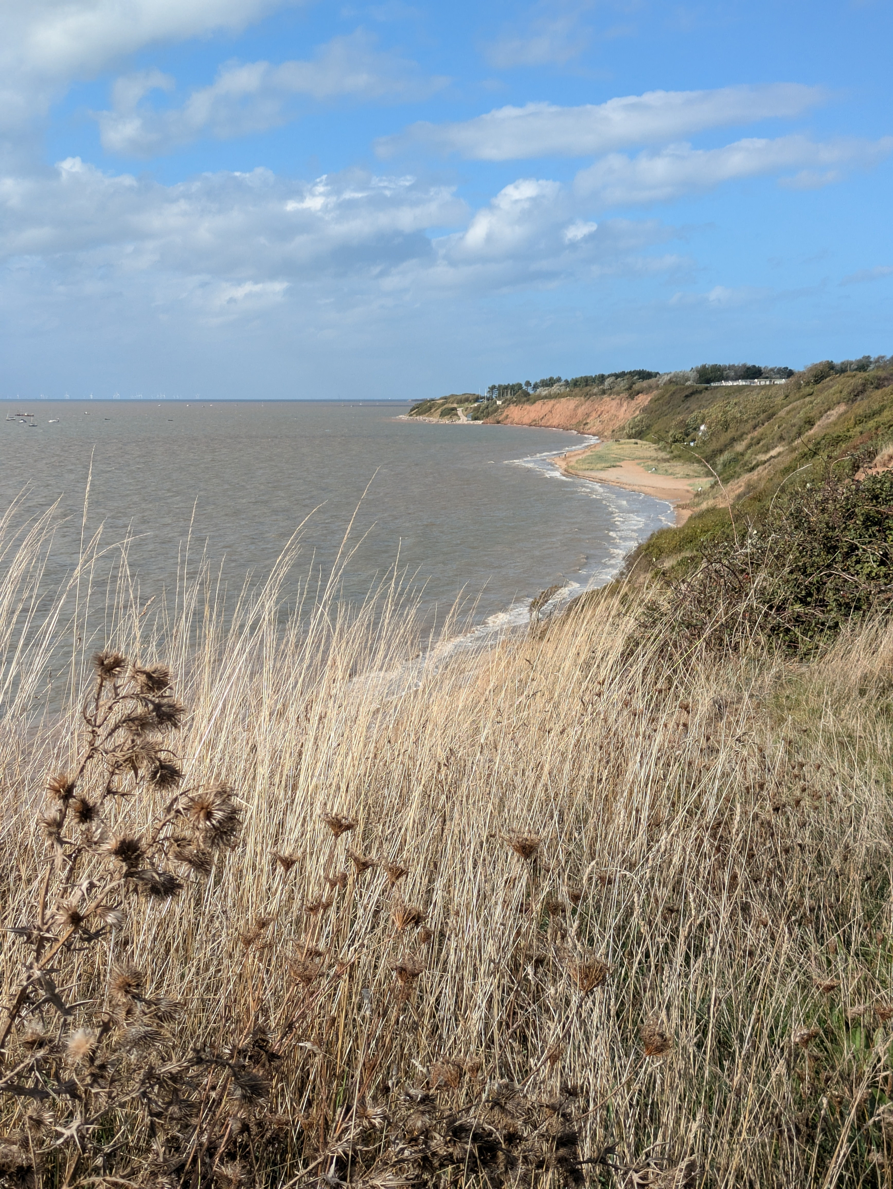 A coastal landscape features a shoreline with cliffs, dry grass, and a partly cloudy blue sky.
