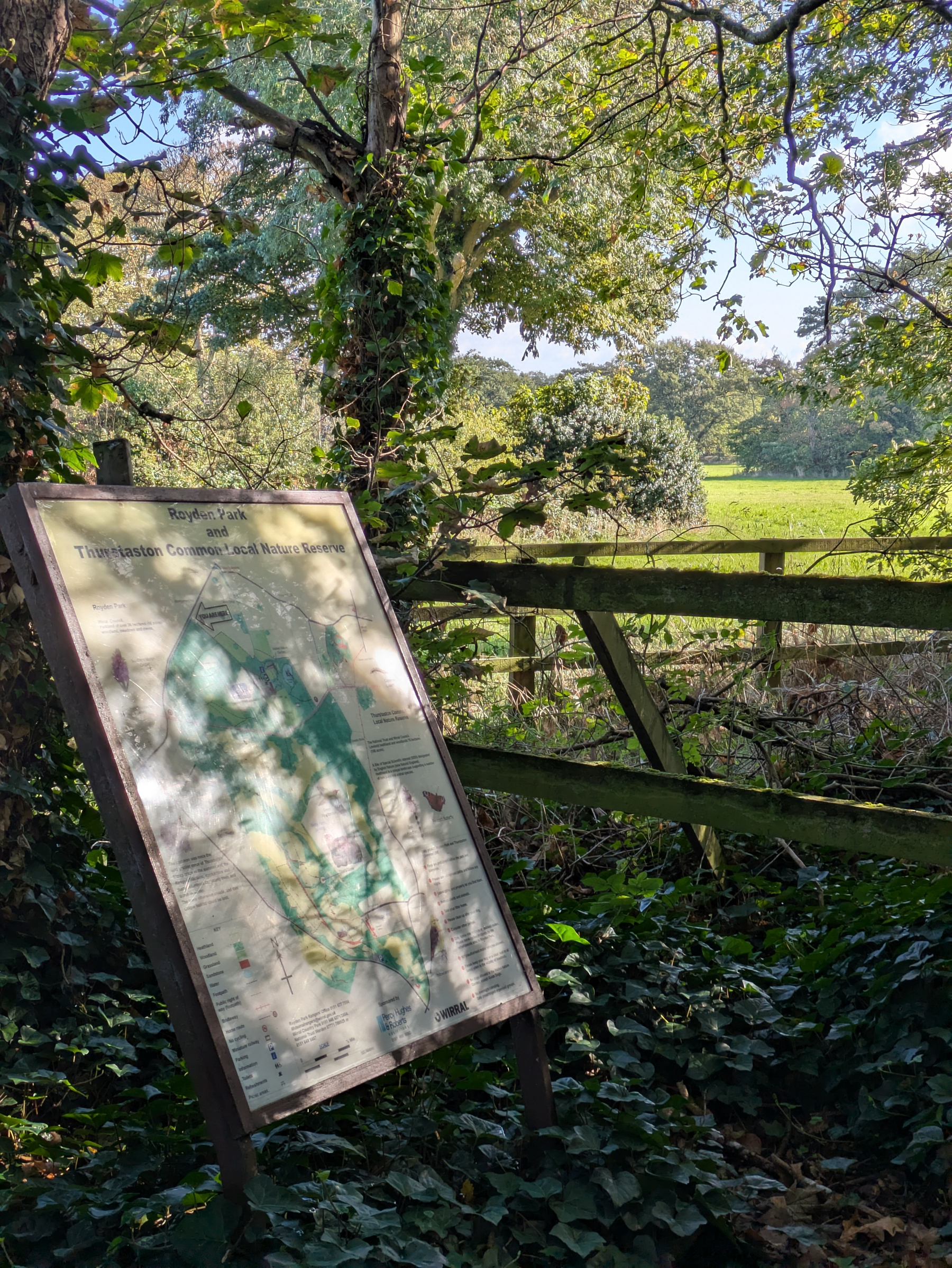 A weathered informational sign about Royden Park and Thurstaston Common Local Nature Reserve is positioned among trees and ivy near a wooden fence, overlooking a sunlit grassy field.