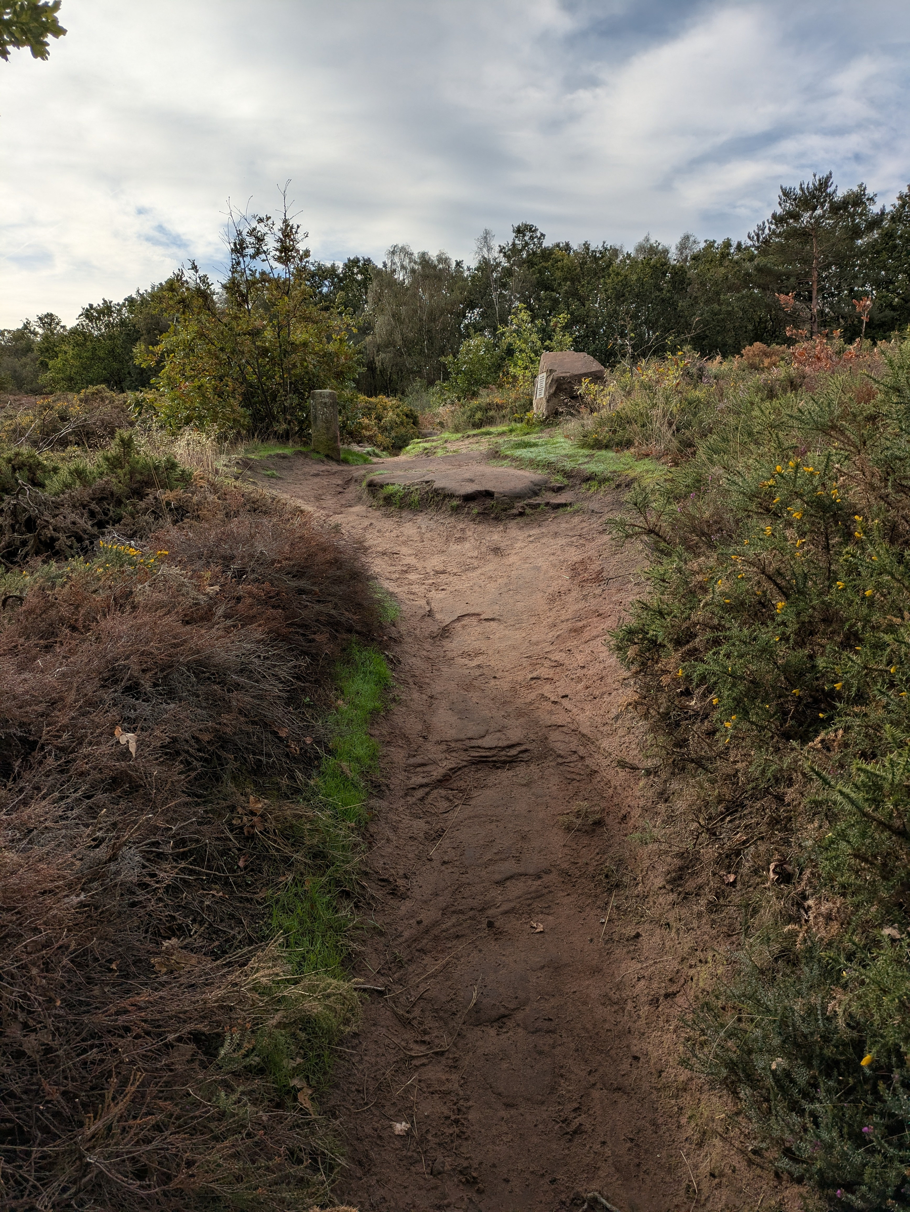A dirt path winds through a natural landscape with bushes, grass, and trees under a partly cloudy sky.