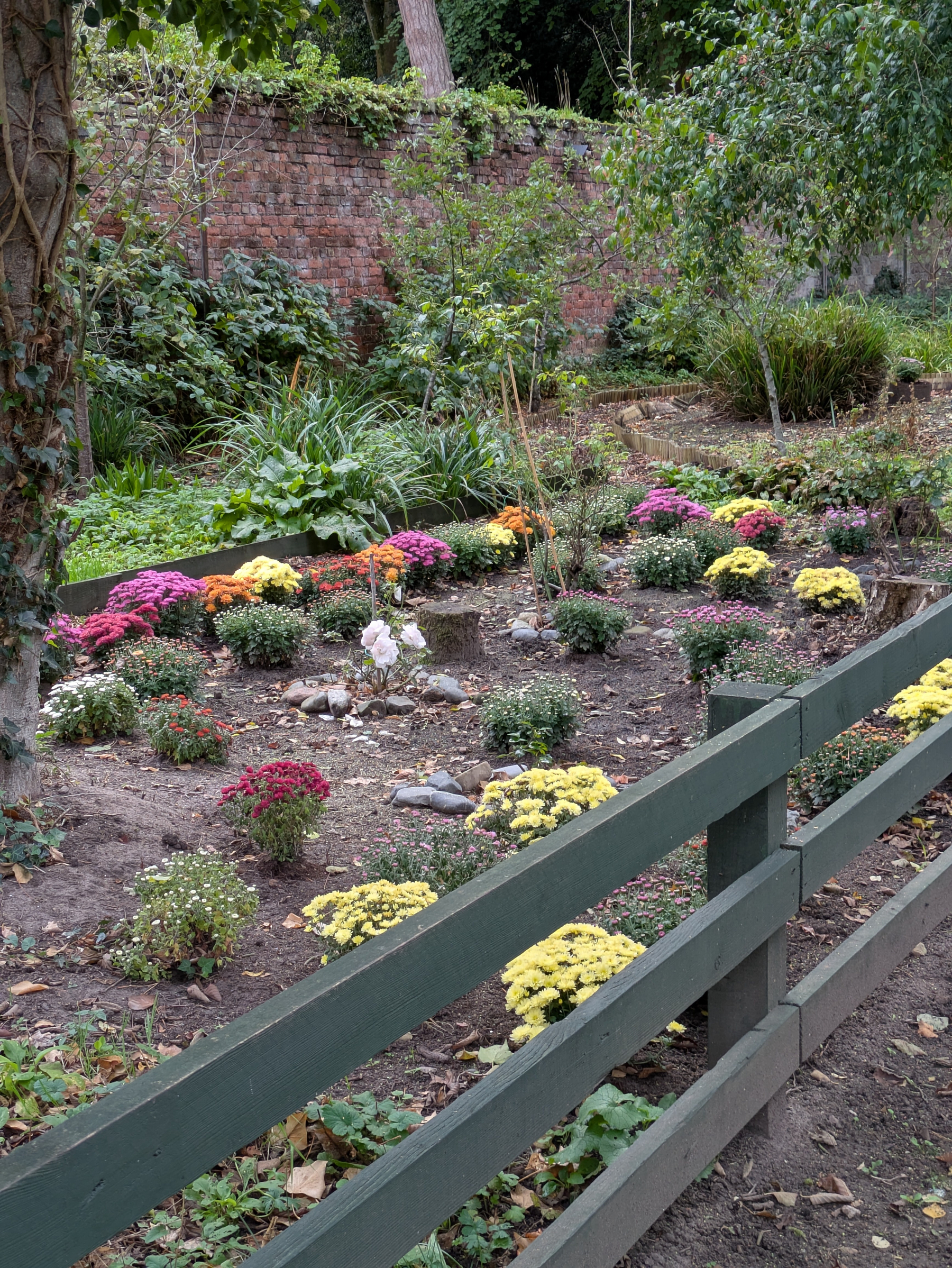 A neatly arranged garden bed filled with colorful flowers bordered by a green wooden fence and backed by a brick wall.