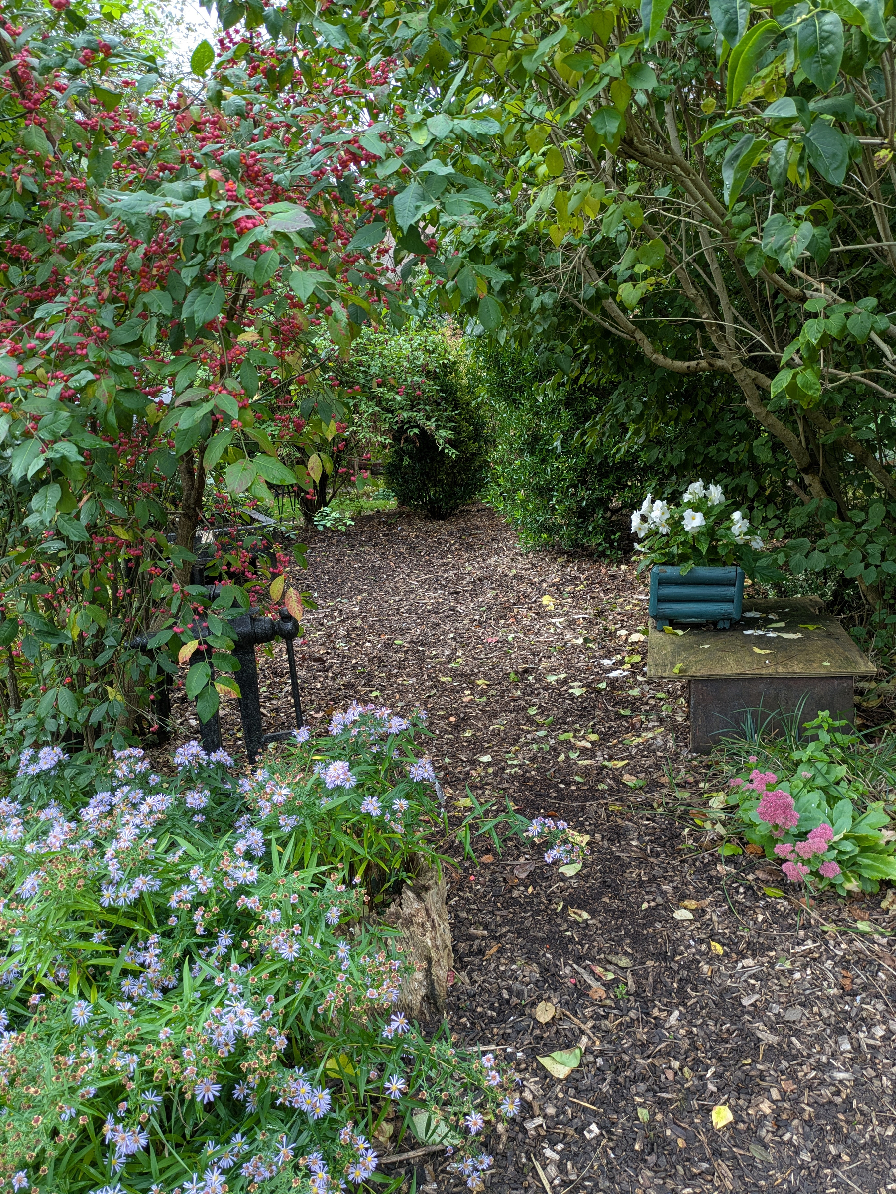 A shaded garden path is surrounded by various flowering plants and dense greenery.