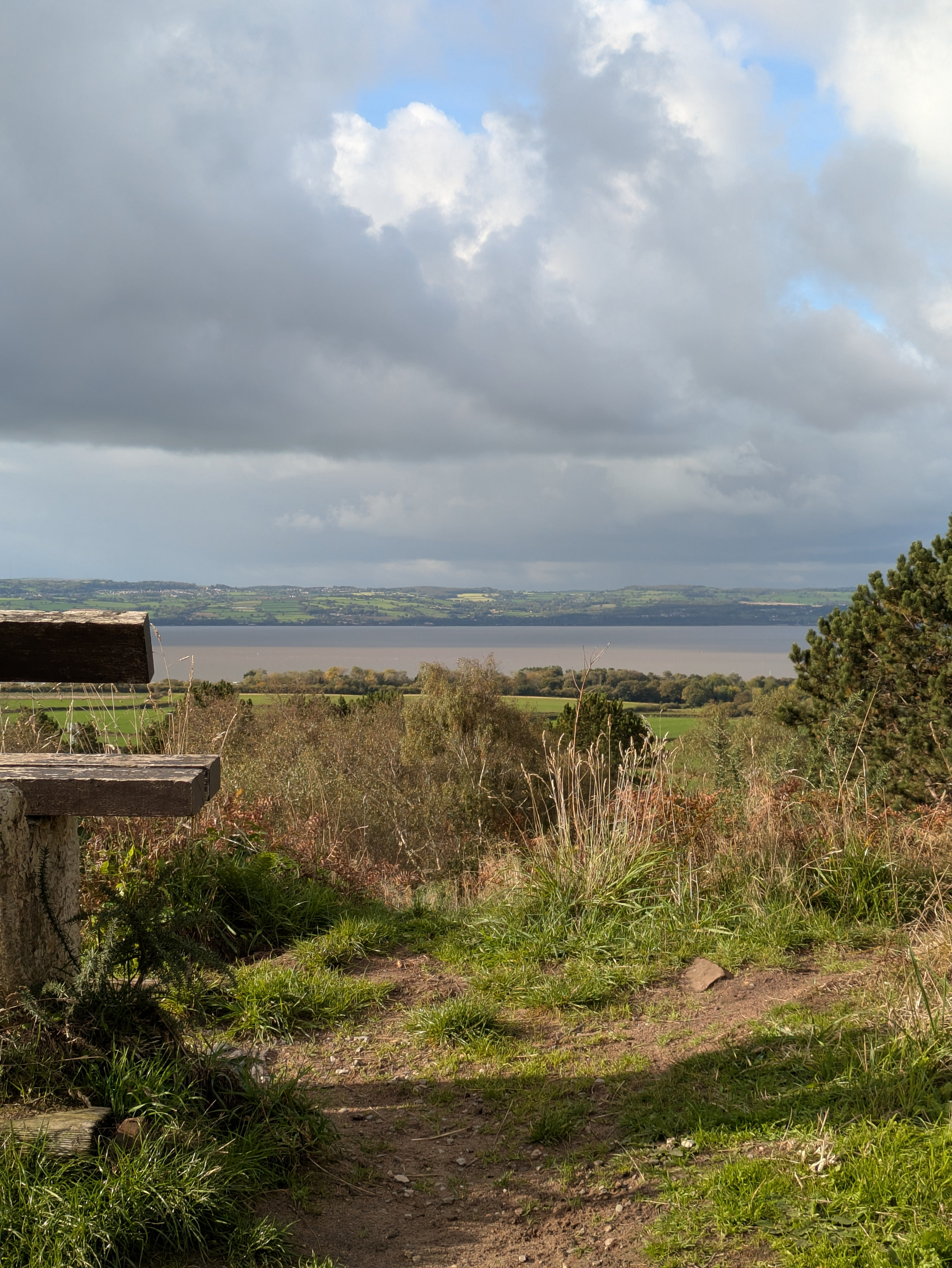 A wooden bench overlooks a scenic landscape of green fields, trees, and a large body of water under a cloudy sky.