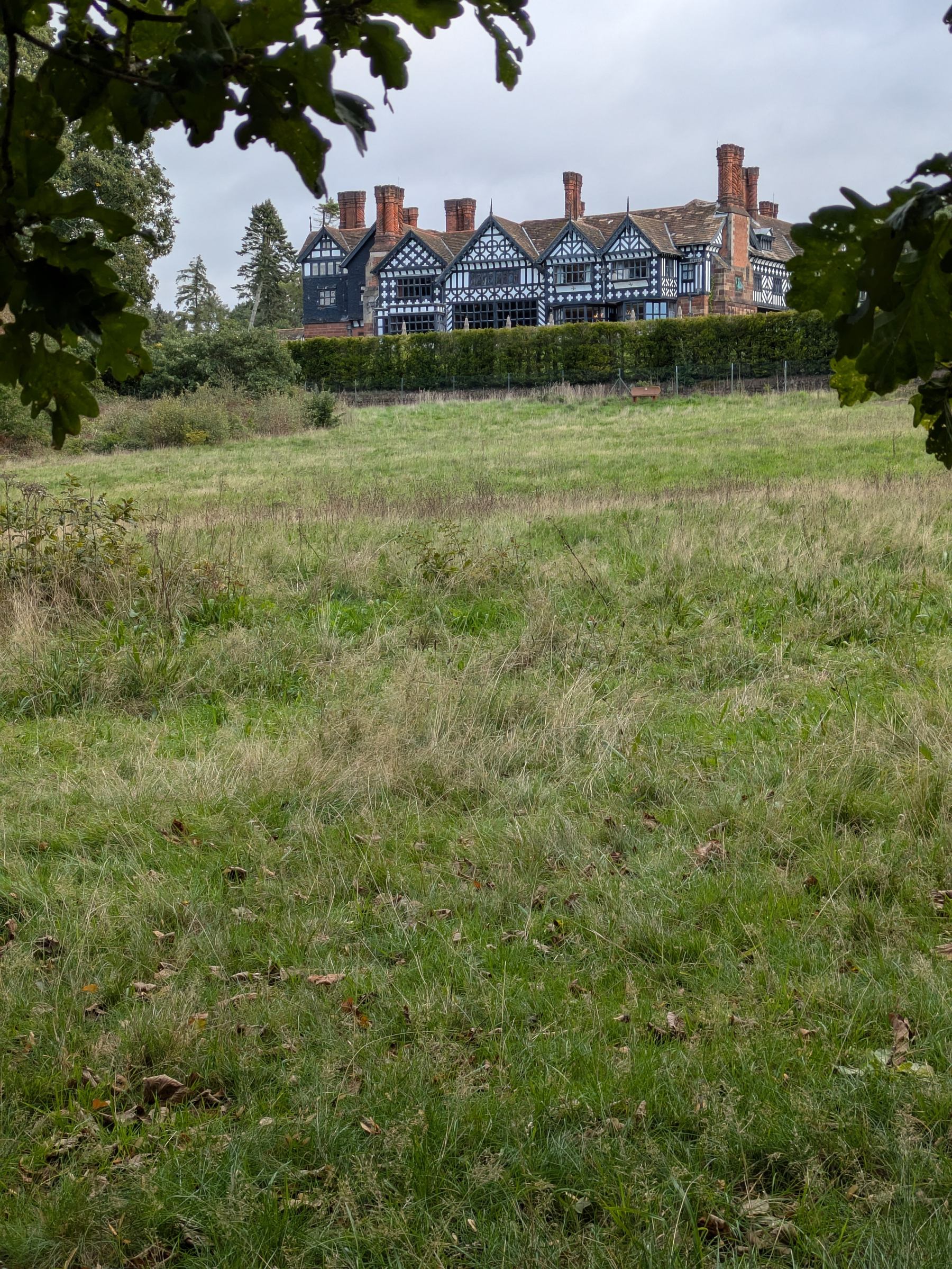 A large, traditional Tudor-style house is seen beyond a grassy field framed by tree branches.