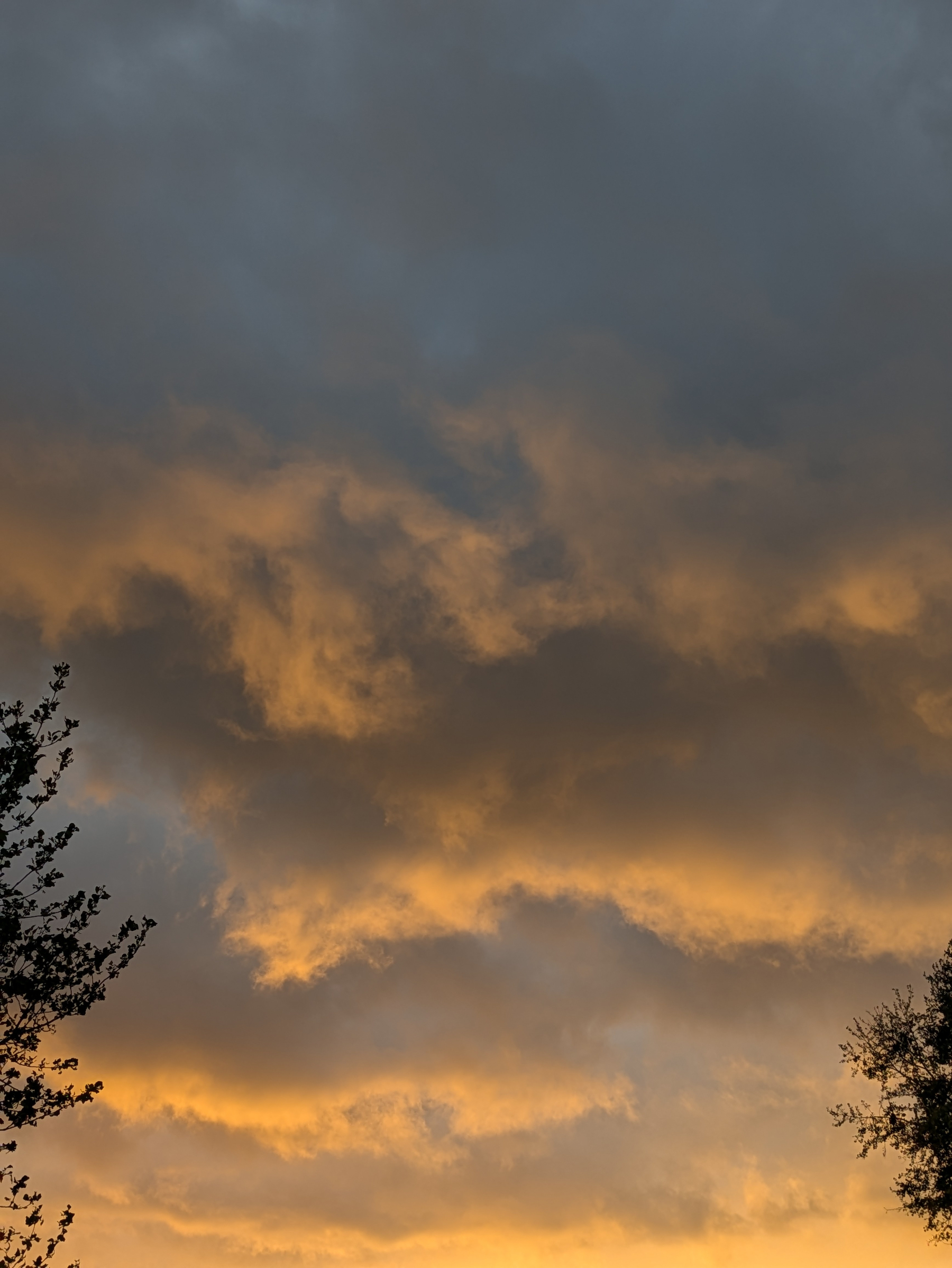 Dark clouds with a warm golden glow from the setting or rising sun are seen in the sky, framed by tree branches on either side.