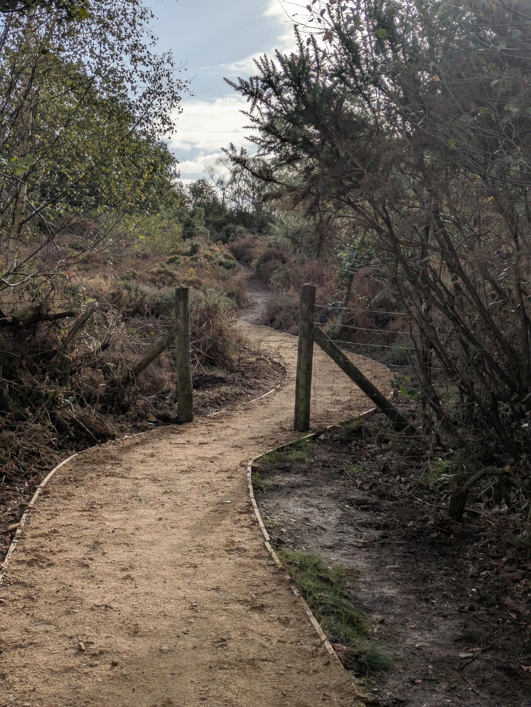 A winding dirt path bordered by wooden posts and fencing leads through a wooded area with trees and shrubs on either side.