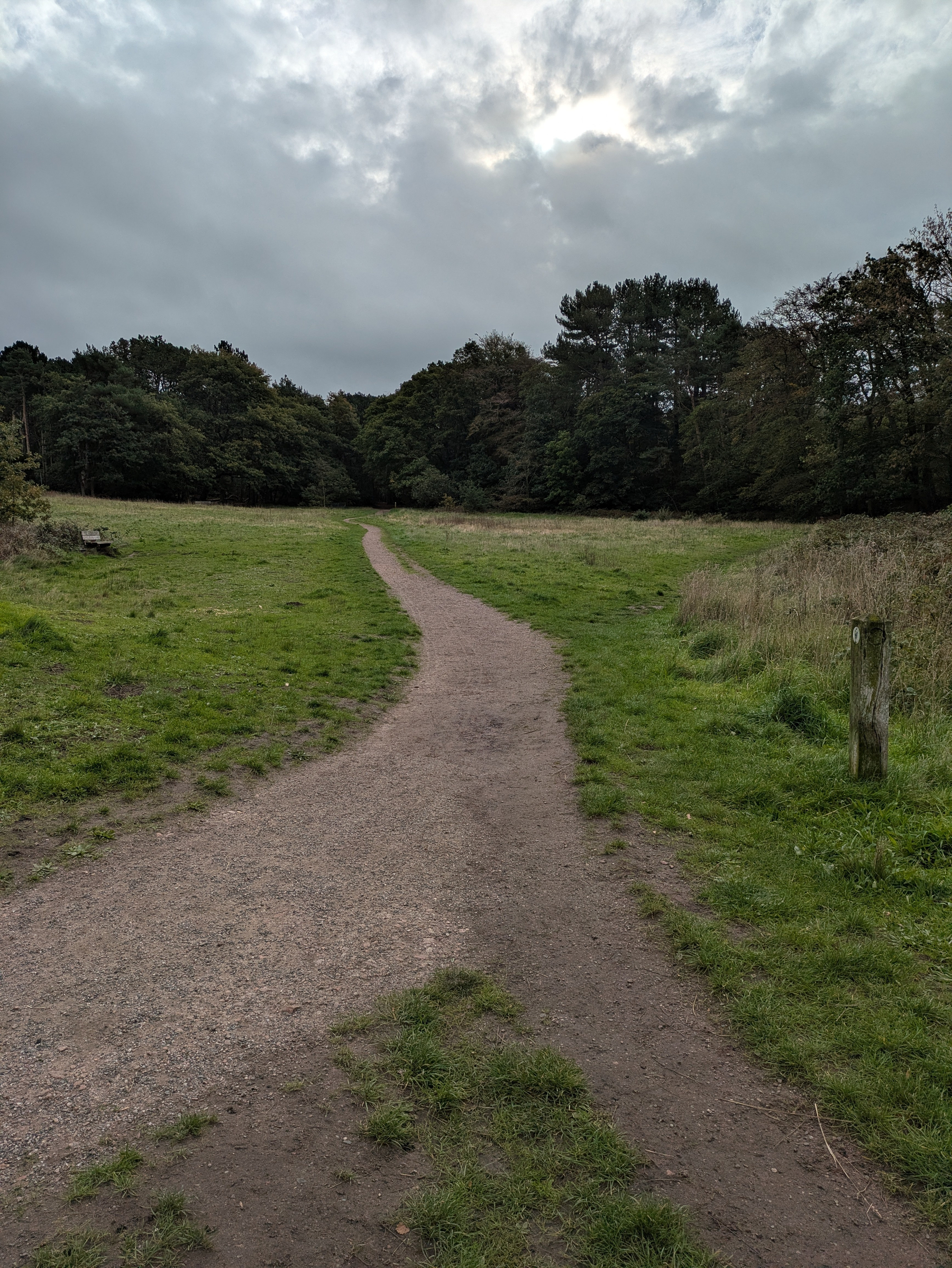 A winding dirt path cuts through a grassy field bordered by tall trees under a cloudy sky.