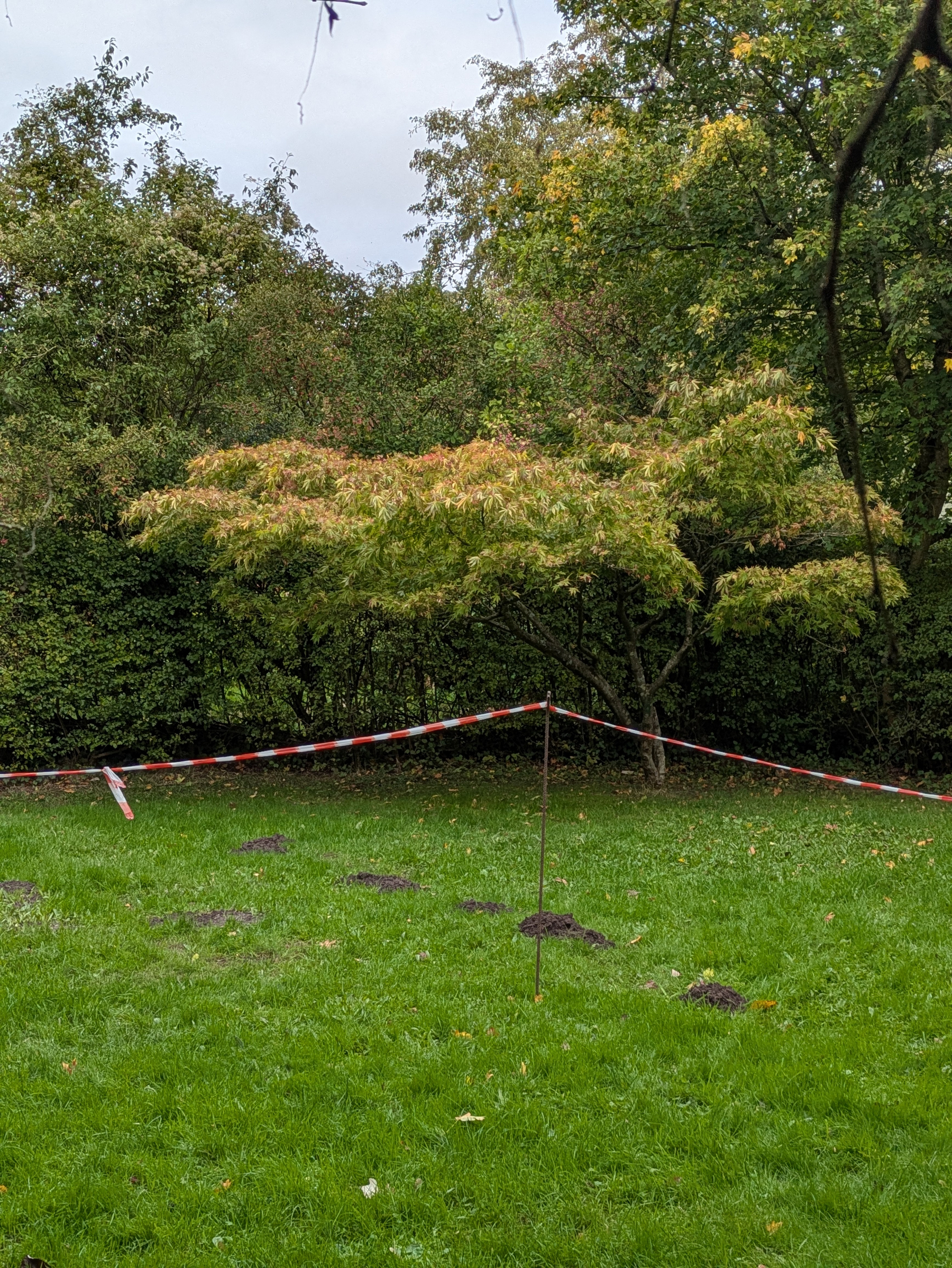 A section of grass surrounded by trees is cordoned off with red and white striped tape.