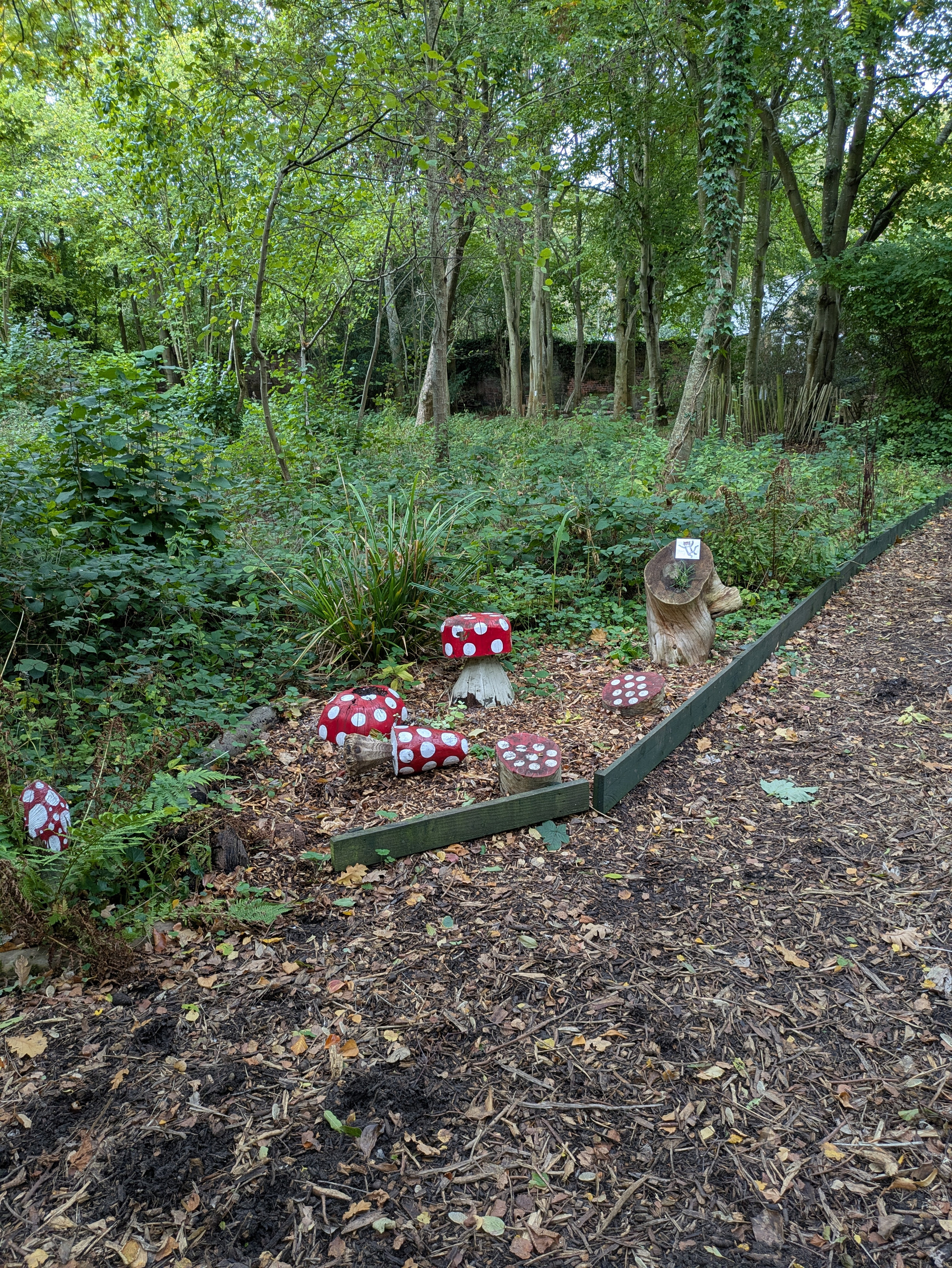 A wooded area features several red-and-white spotted mushroom sculptures placed near a path covered with wood chips.