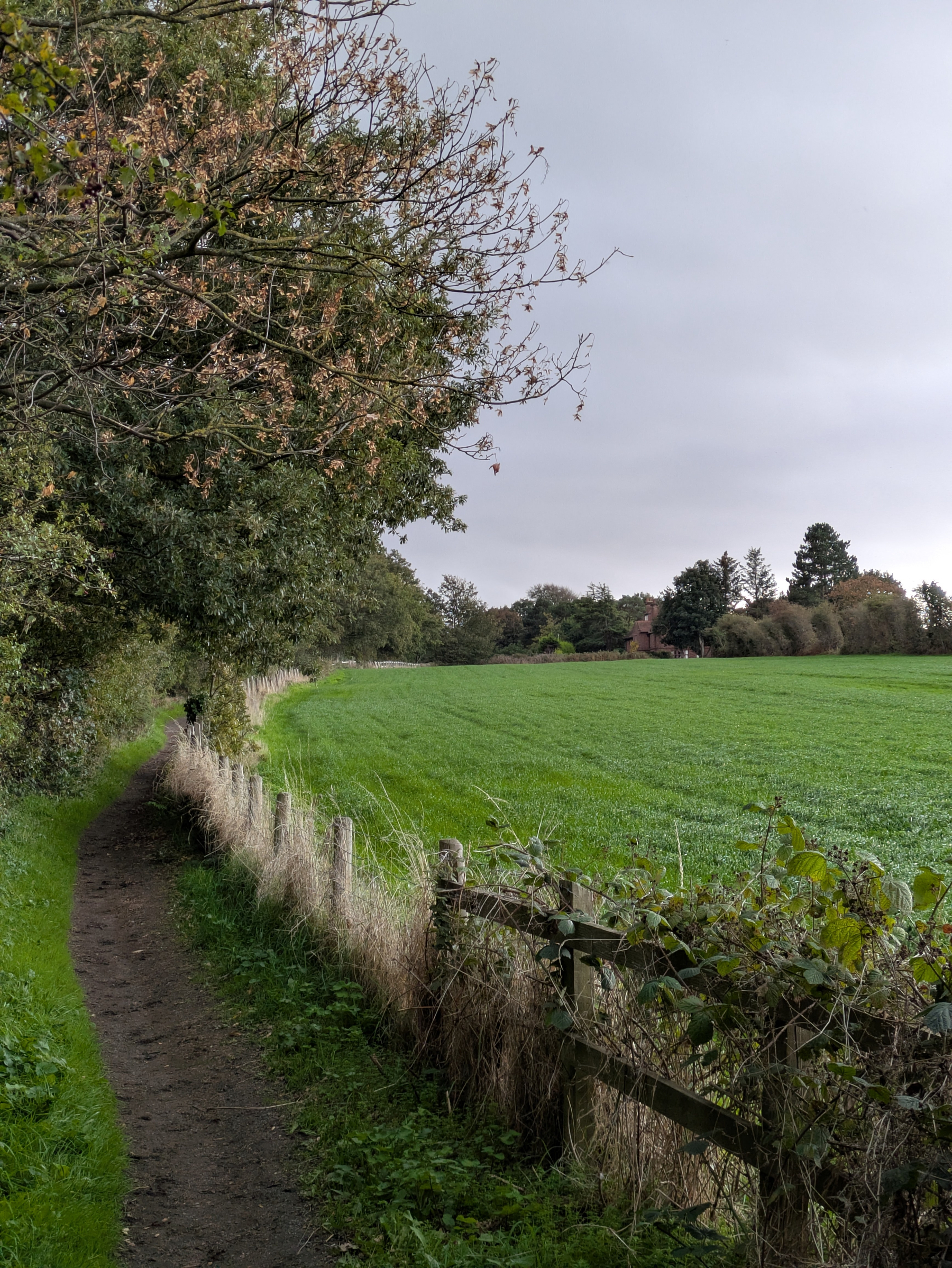 A narrow dirt path runs alongside a wooden fence bordering a lush green field under a cloudy sky.