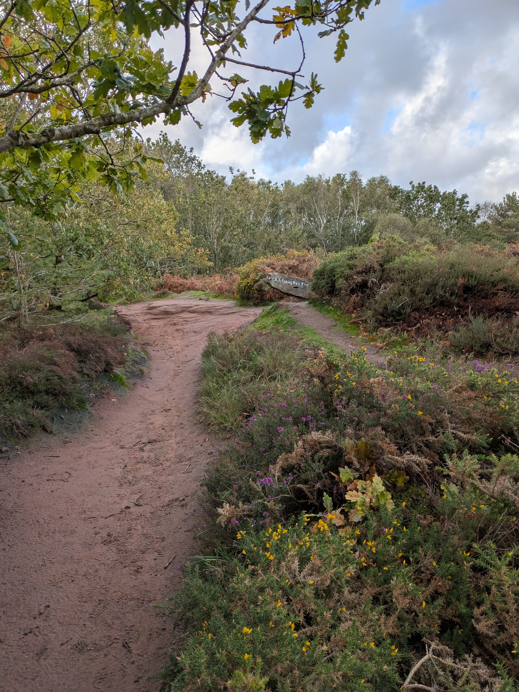 A dirt path winds through a natural landscape with green trees, bushes, and colorful wildflowers under a partly cloudy sky.