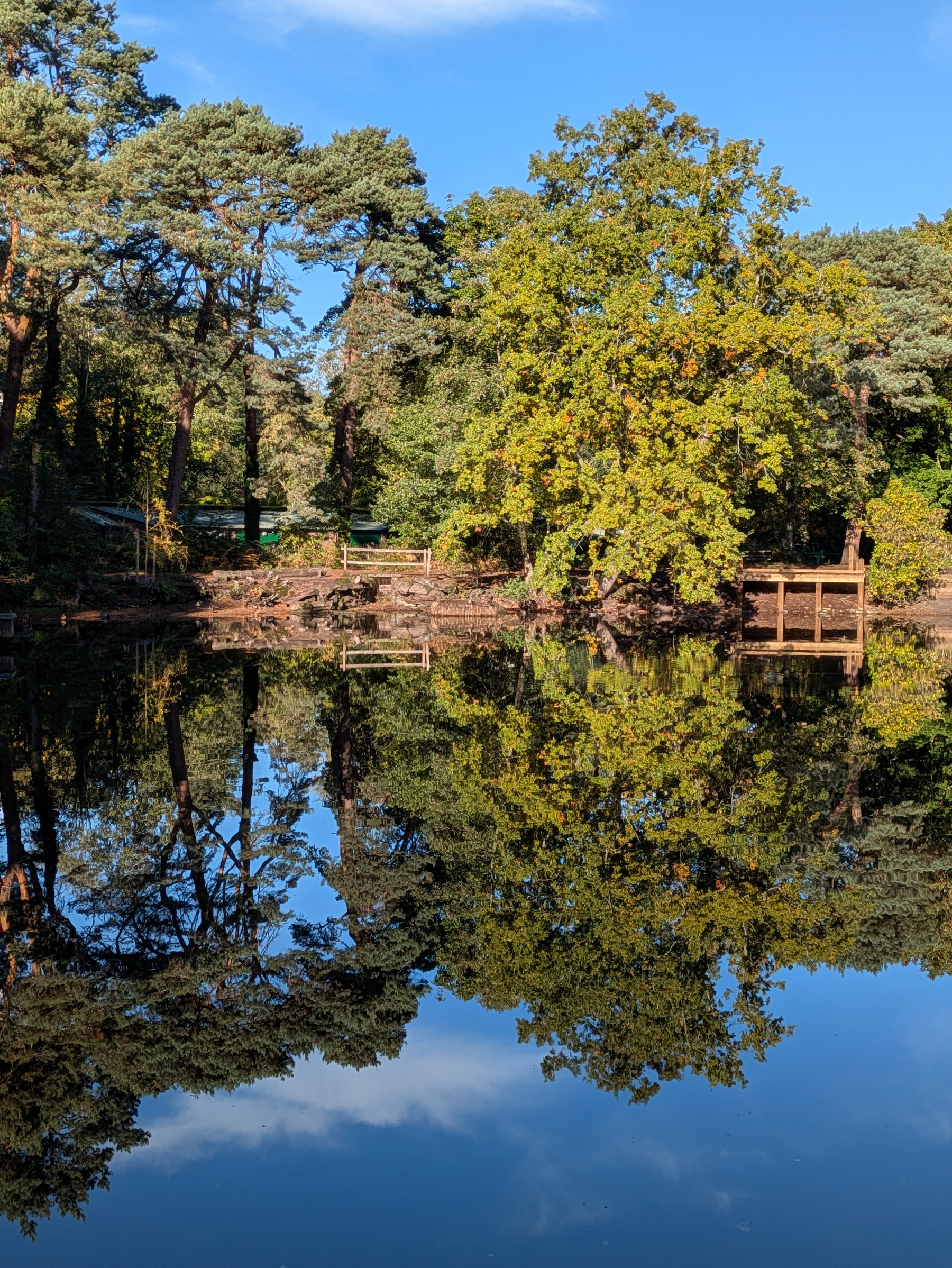 A serene scene shows lush trees reflected perfectly in the calm water of a lake under a clear blue sky.