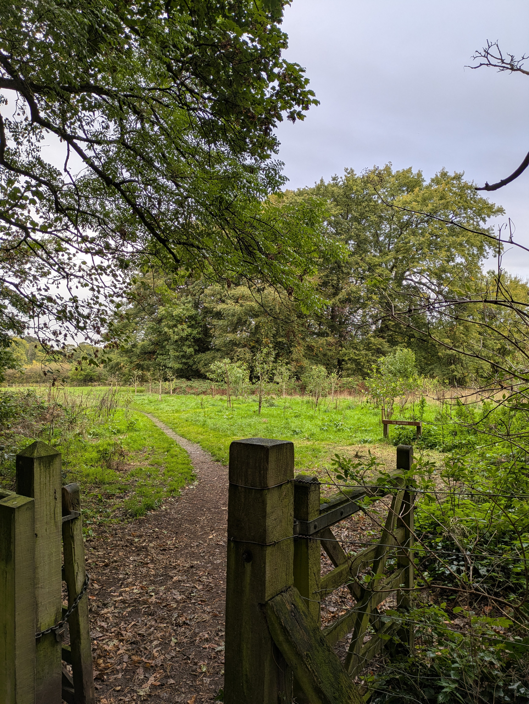 A rustic wooden gate opens onto a dirt path leading through a grassy clearing surrounded by trees under a cloudy sky.