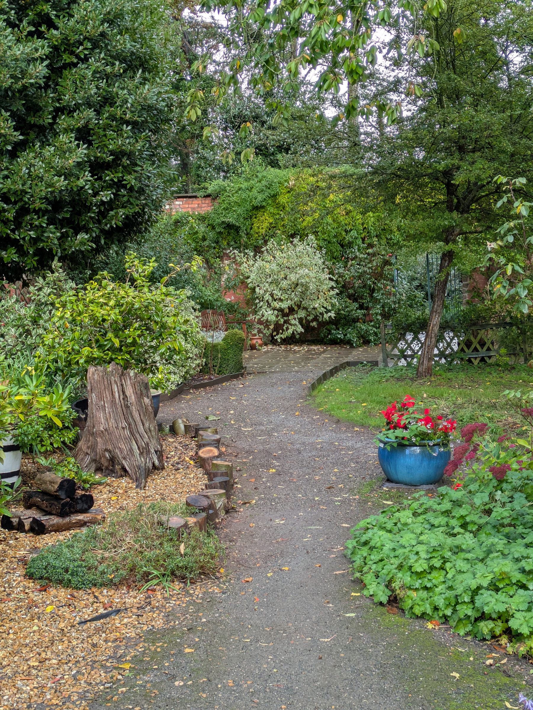A winding garden path is surrounded by lush greenery, a tree stump, and a blue pot filled with red flowers.