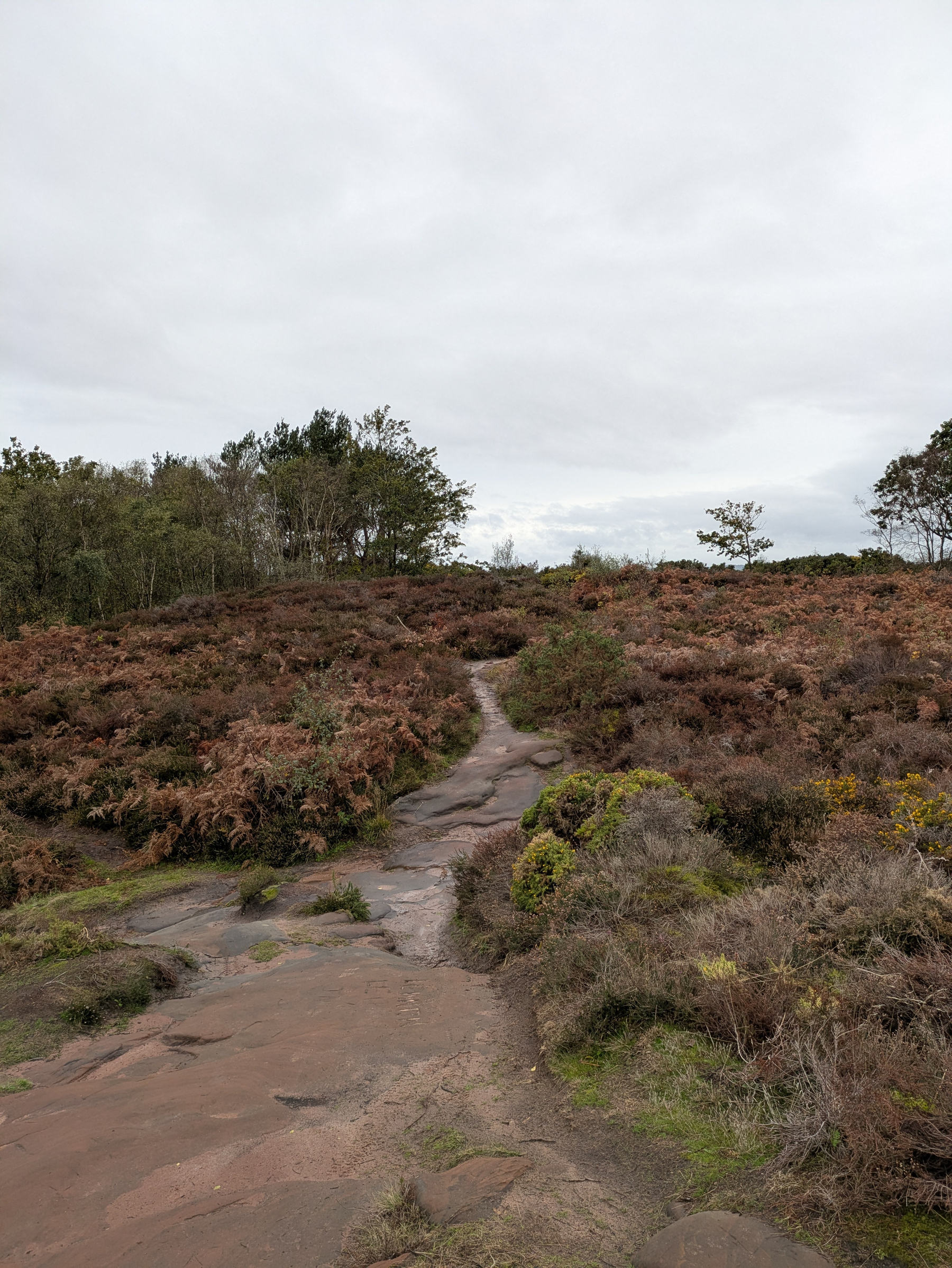 A winding dirt path leads through a landscape of shrubs and dry vegetation under a cloudy sky.