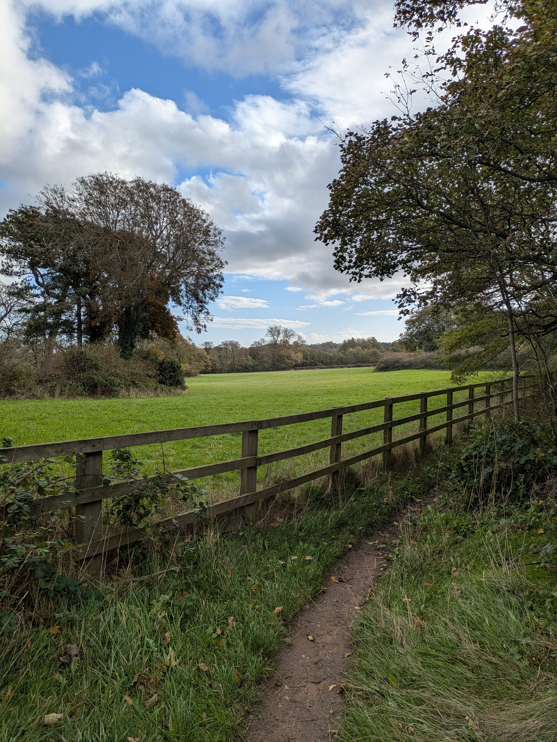 A narrow dirt path runs alongside a wooden fence bordering a lush green field under a partly cloudy sky.