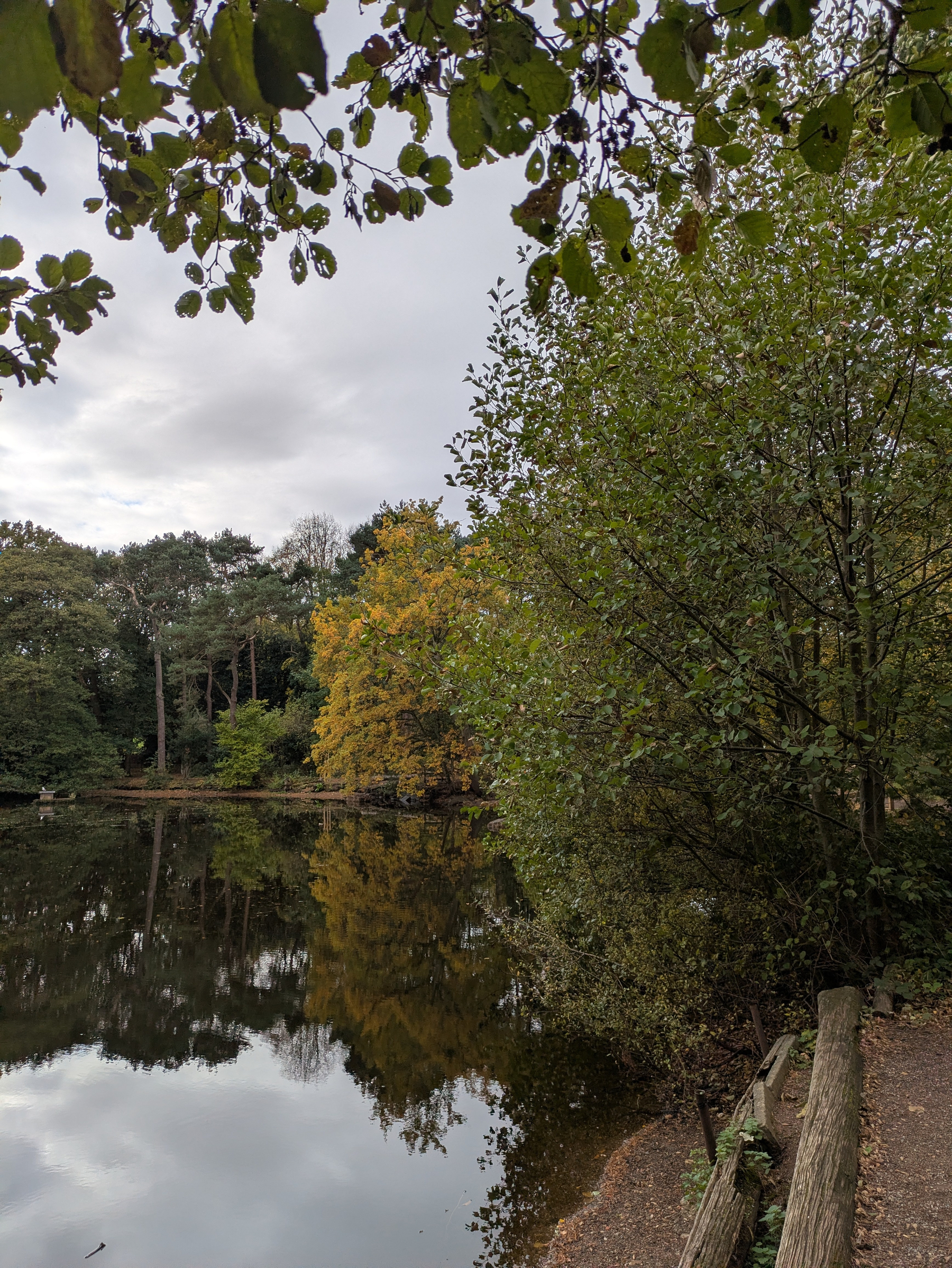 A calm lake surrounded by dense trees, some with autumn-colored leaves, reflects the overcast sky and foliage.