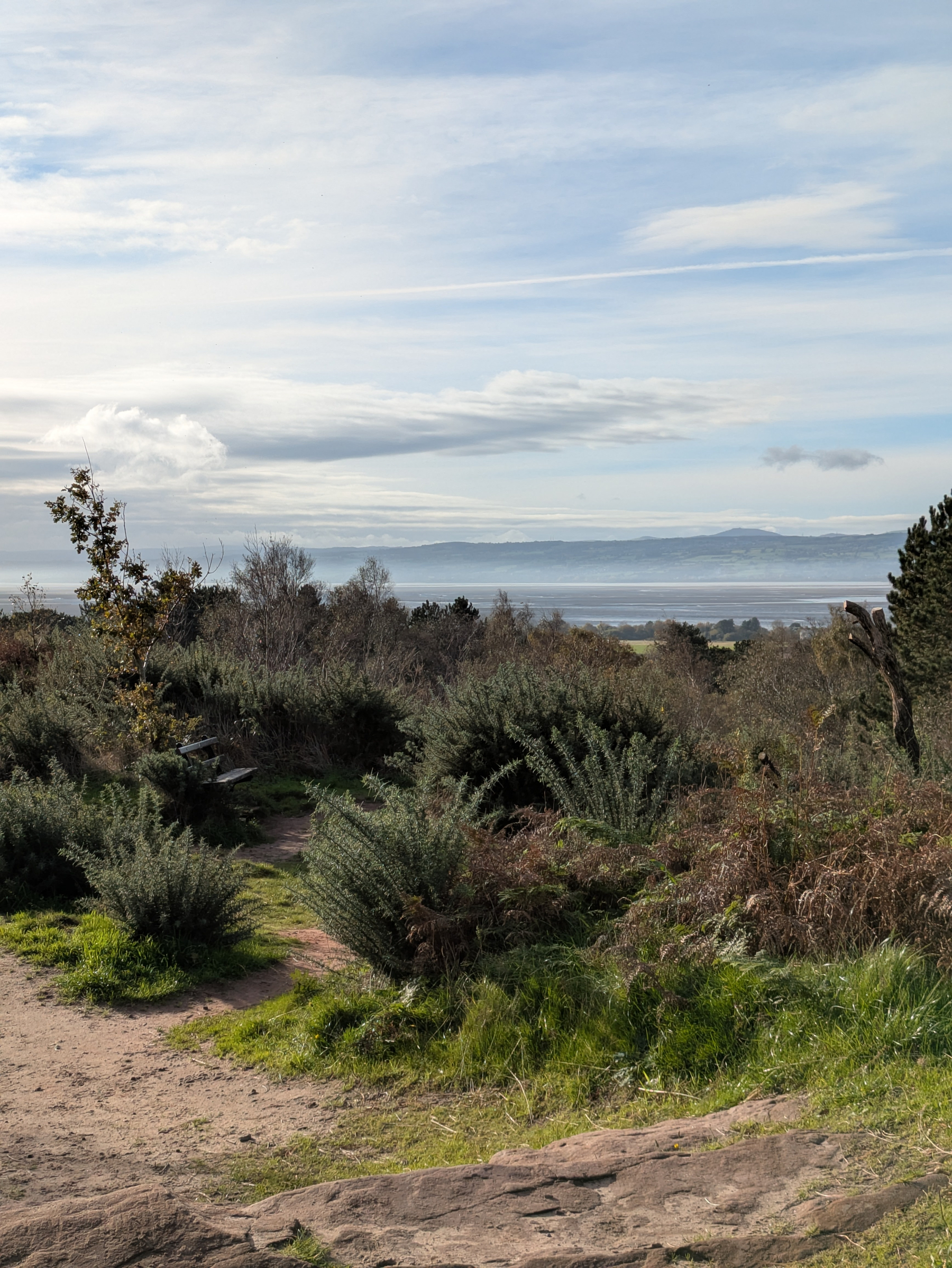 A scenic landscape features a dirt path leading through bushes and trees, with distant hills and a cloudy sky in the background.