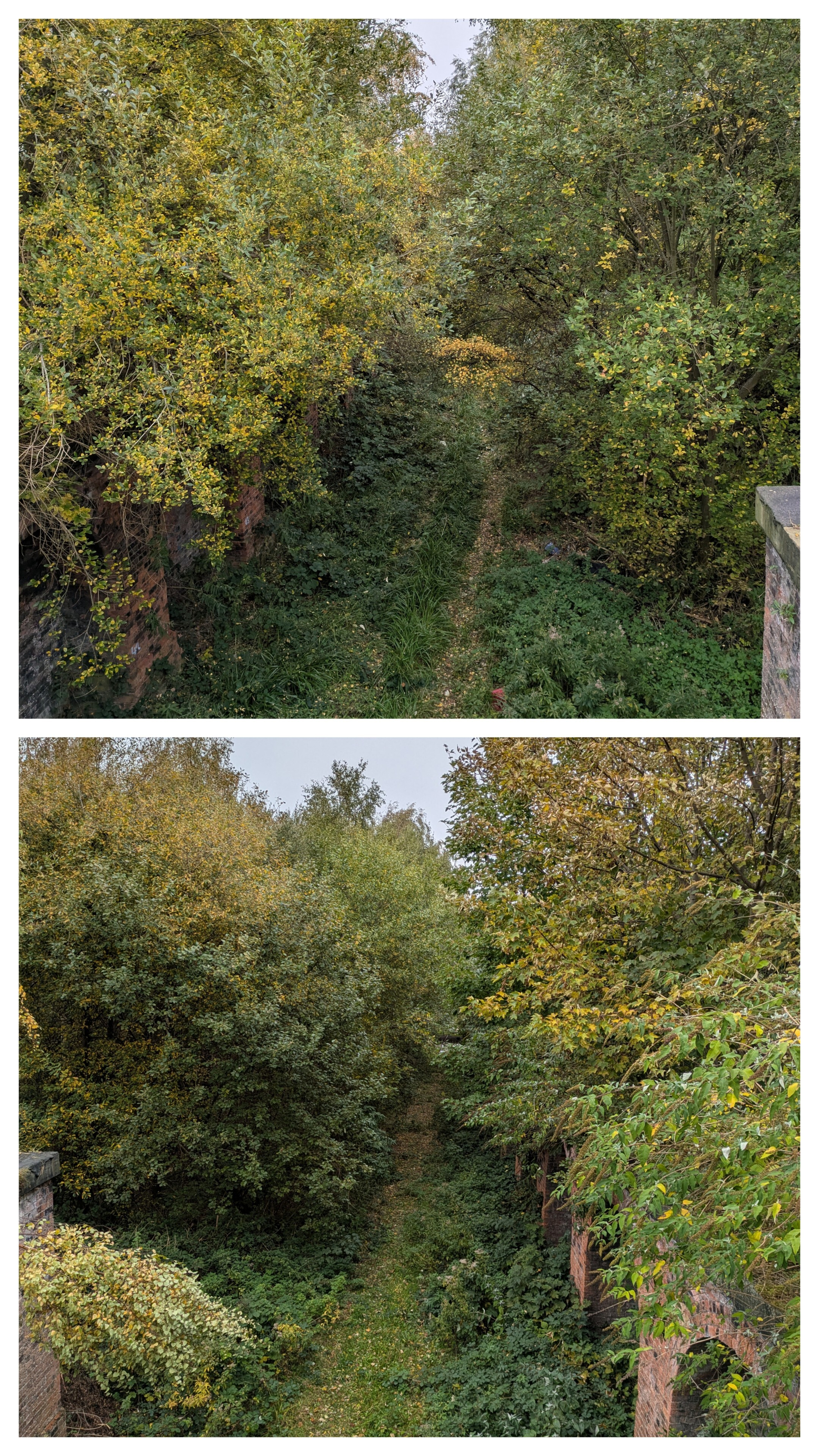 An overgrown, narrow pathway bordered by dense trees and brick walls is shown in two different perspectives.