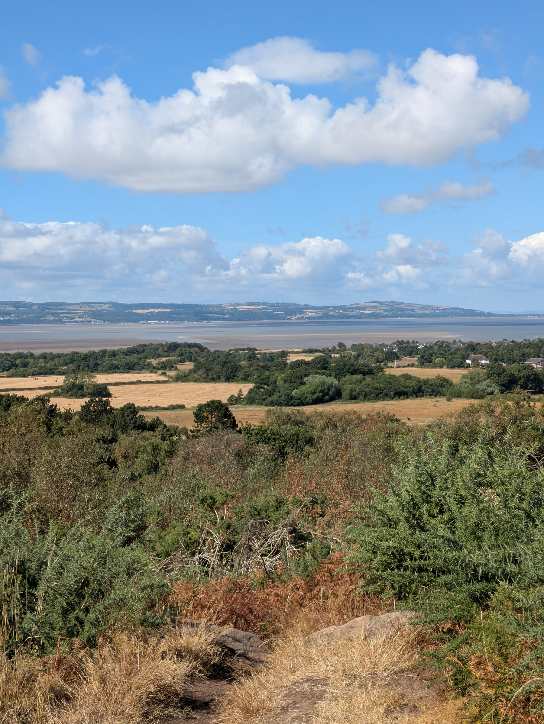 A scenic landscape features a pathway through shrubs leading to patchwork fields, greenery, a body of water, and hills under a partly cloudy sky.