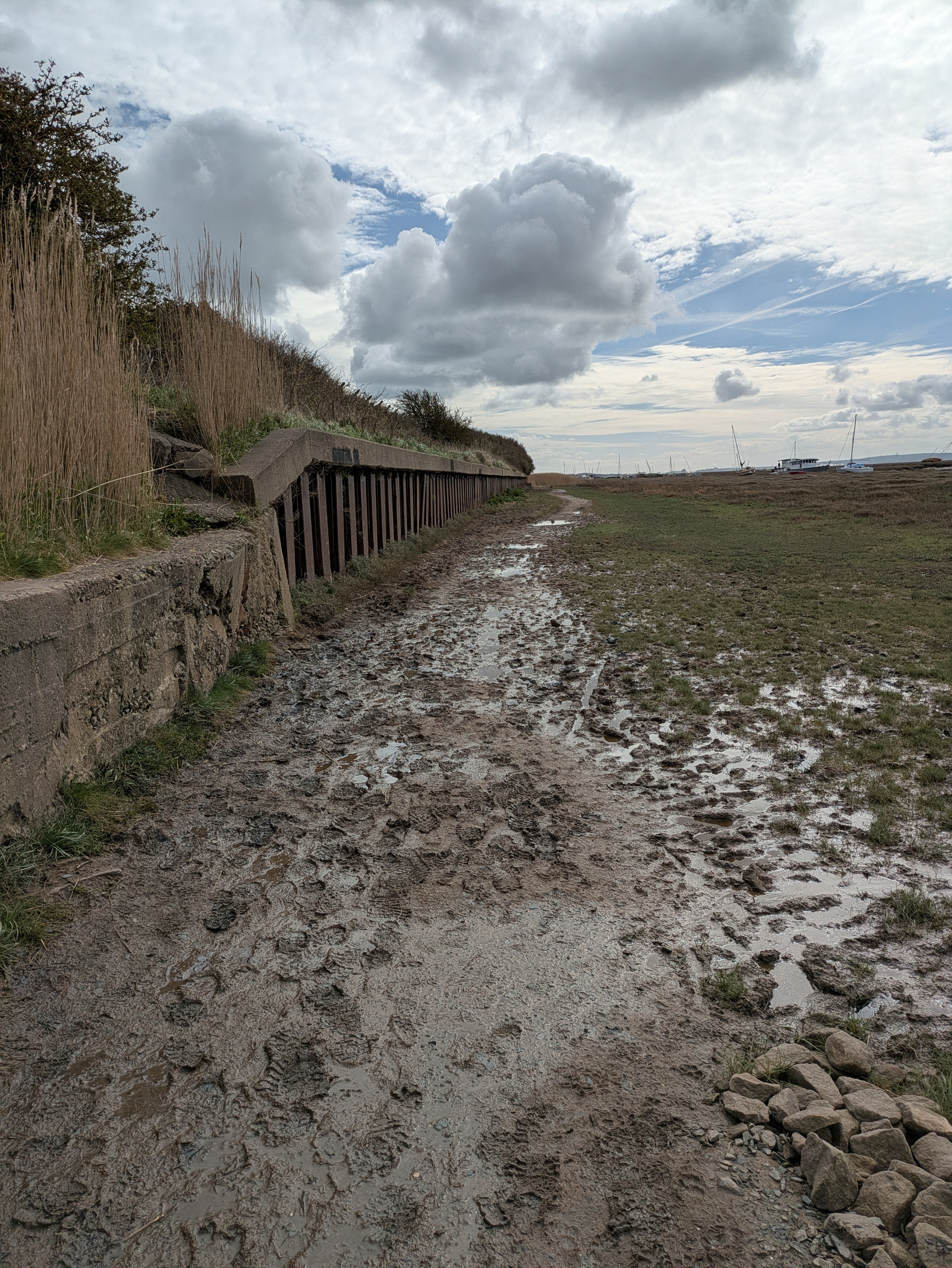 A muddy path runs alongside a grassy area with tall reeds, beneath a cloudy sky.