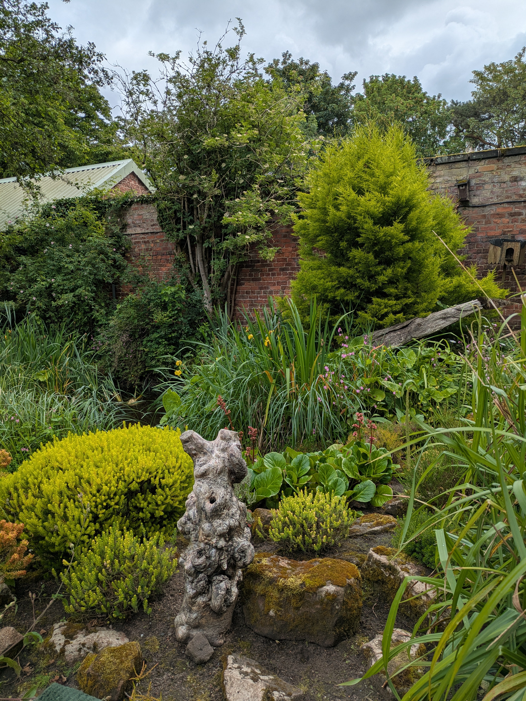 A lush garden with various green plants, a tree stump, and a brick wall in the background.