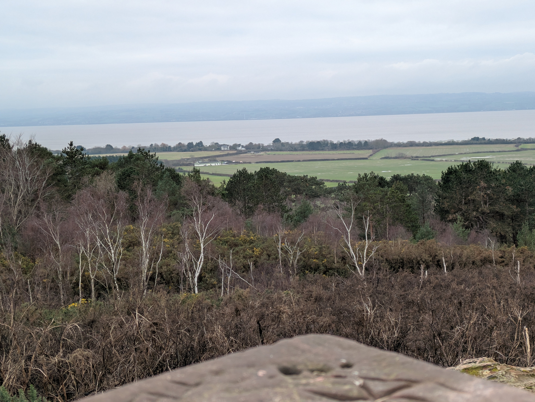 A landscape view features a field of trees, open grasslands, and a body of water in the distance under a cloudy sky.