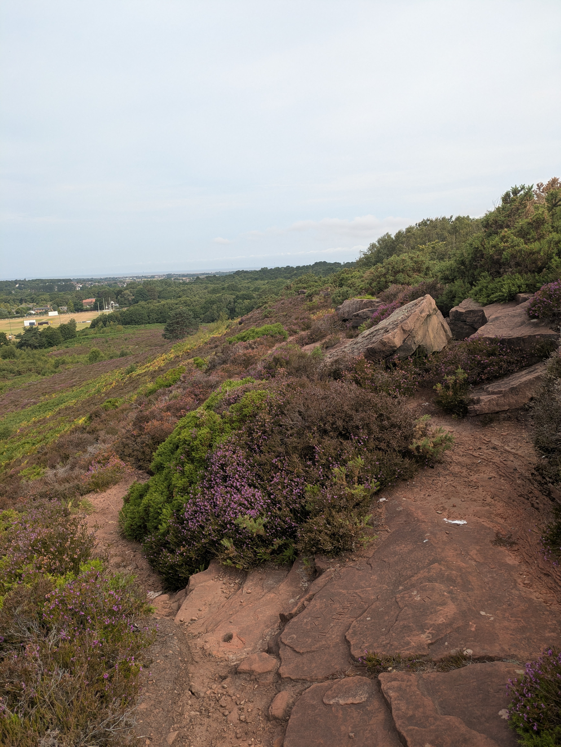 A rocky trail winds through a hillside covered with green and purple shrubs under a cloudy sky.