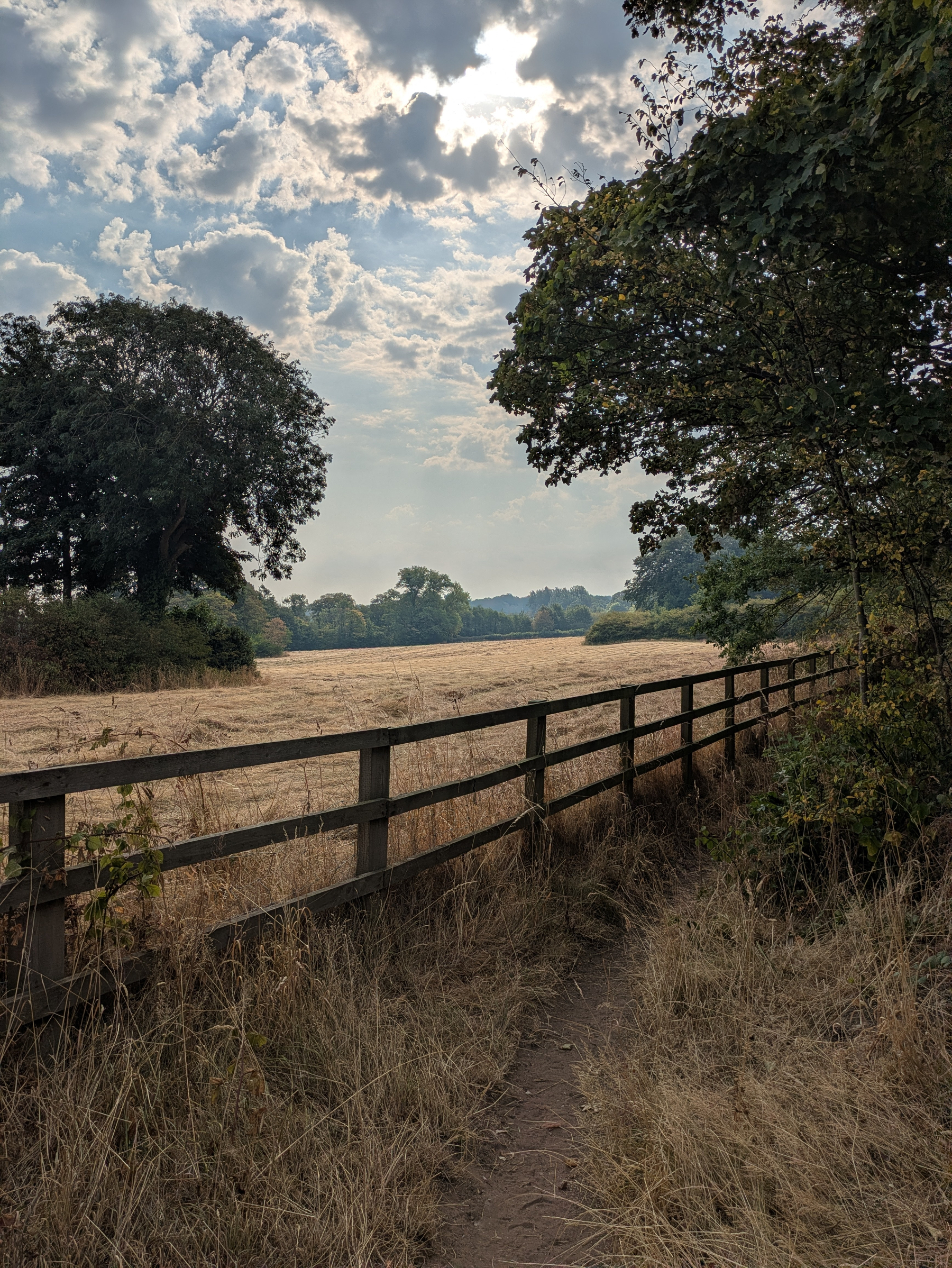 A wooden fence runs alongside a narrow dirt path bordered by tall dry grass, with trees framing a sunny, partly cloudy sky over an open field.