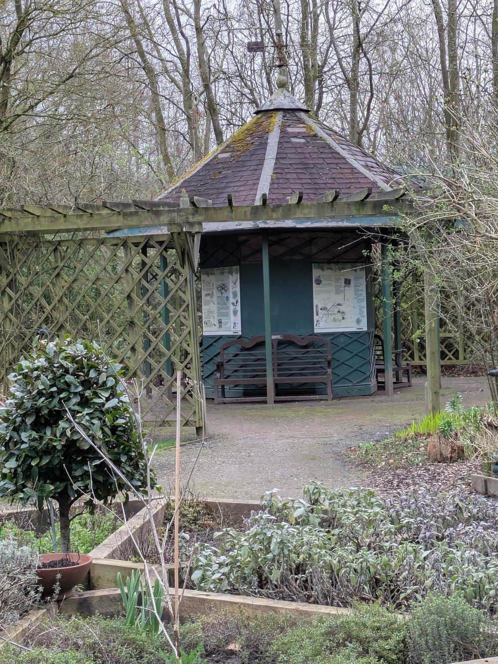 A wooden gazebo is nestled in a garden, surrounded by trees and various plants.