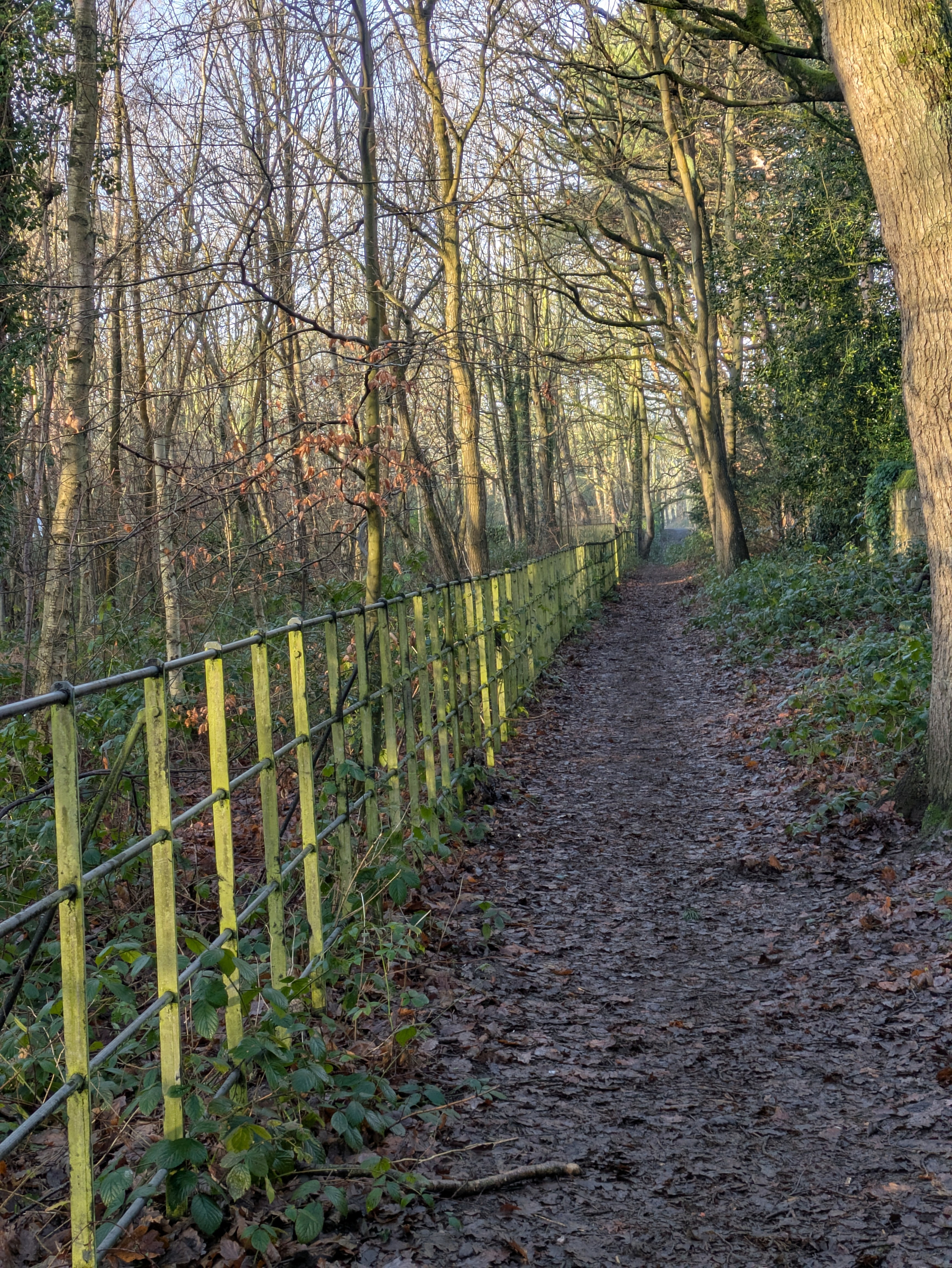 A narrow, leaf-covered path runs through a wooded area alongside a mossy yellow fence.