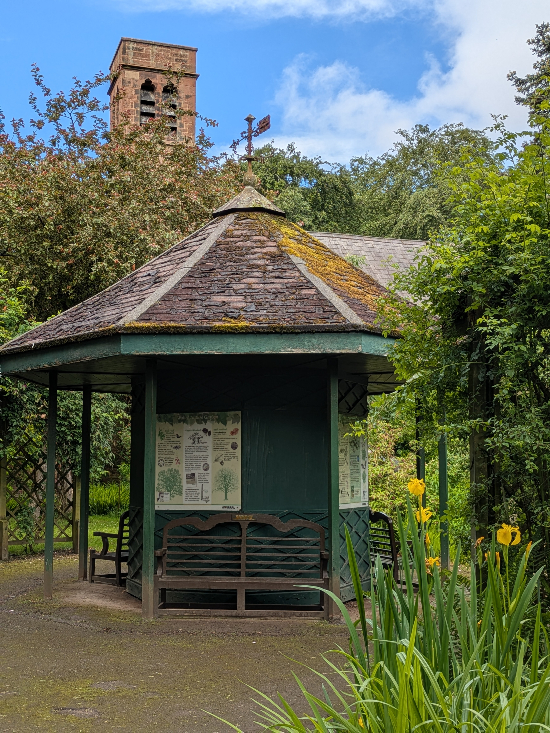 A gazebo with a moss-covered roof is surrounded by lush greenery and yellow flowers, with a church tower visible in the background.