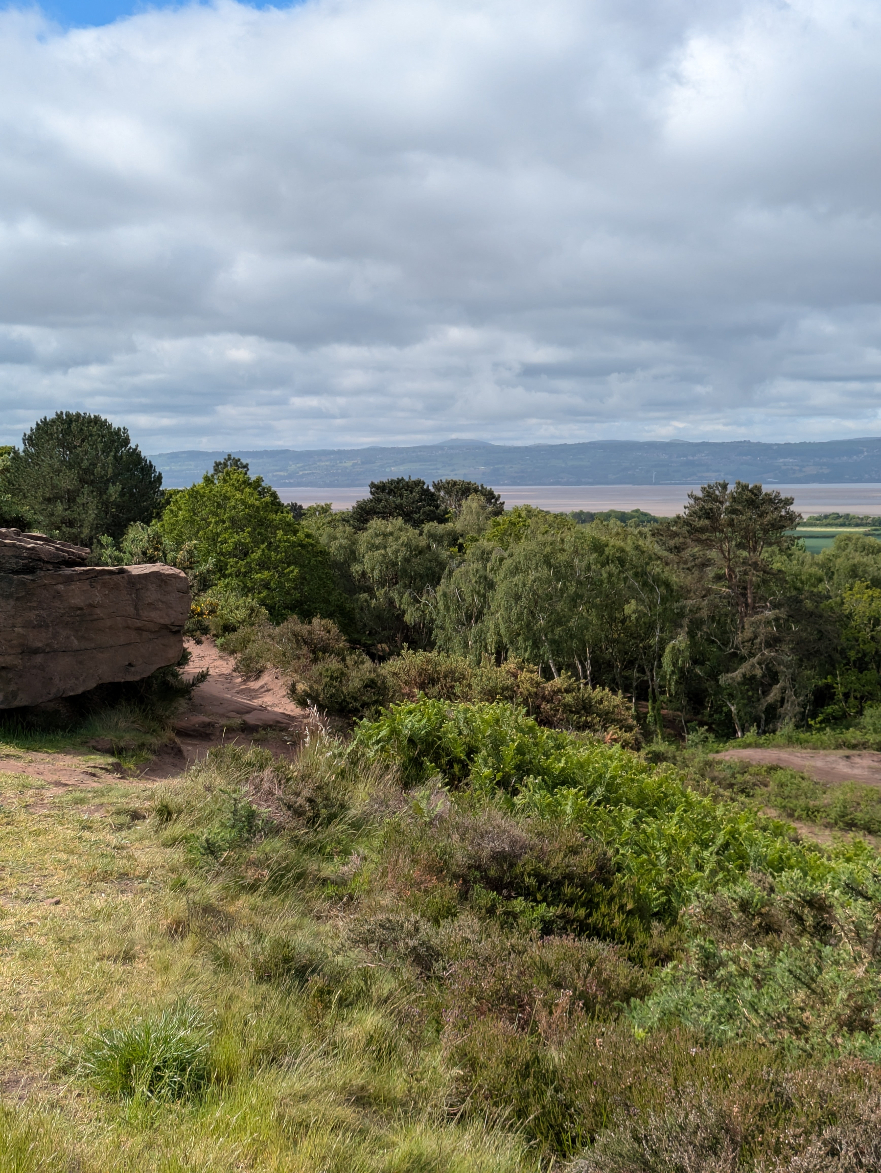 A grassy landscape features lush greenery and trees with a rocky outcrop and a distant view of water under a cloudy sky.
